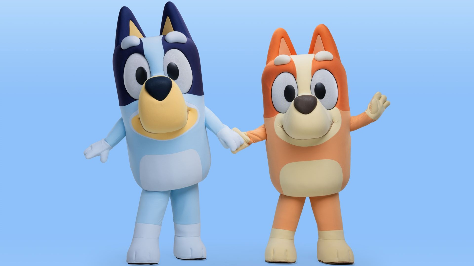 Bluey-and-Bingo-Coming-to-Disney-Experiences.png