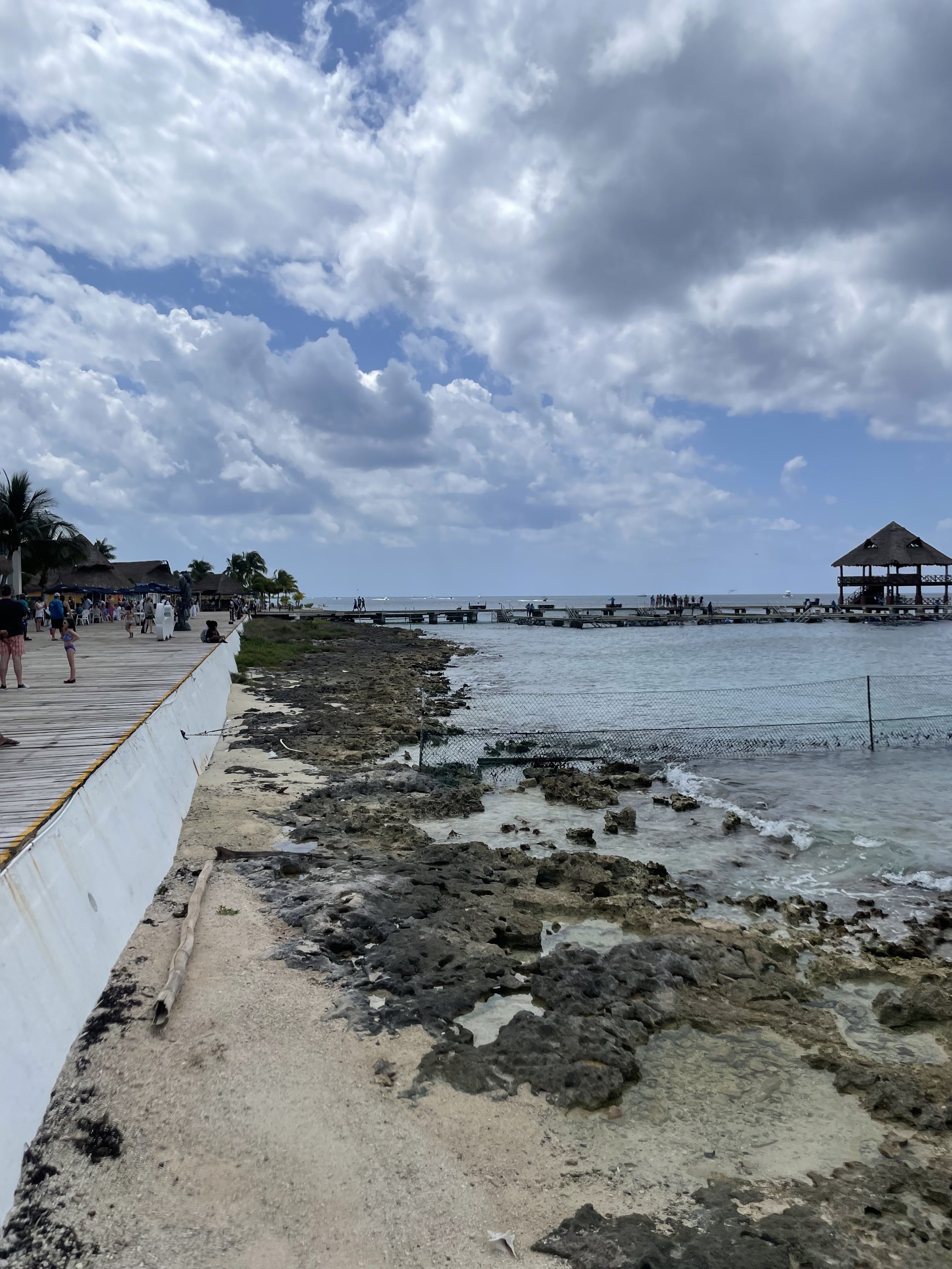 IMG_7229.jpeg