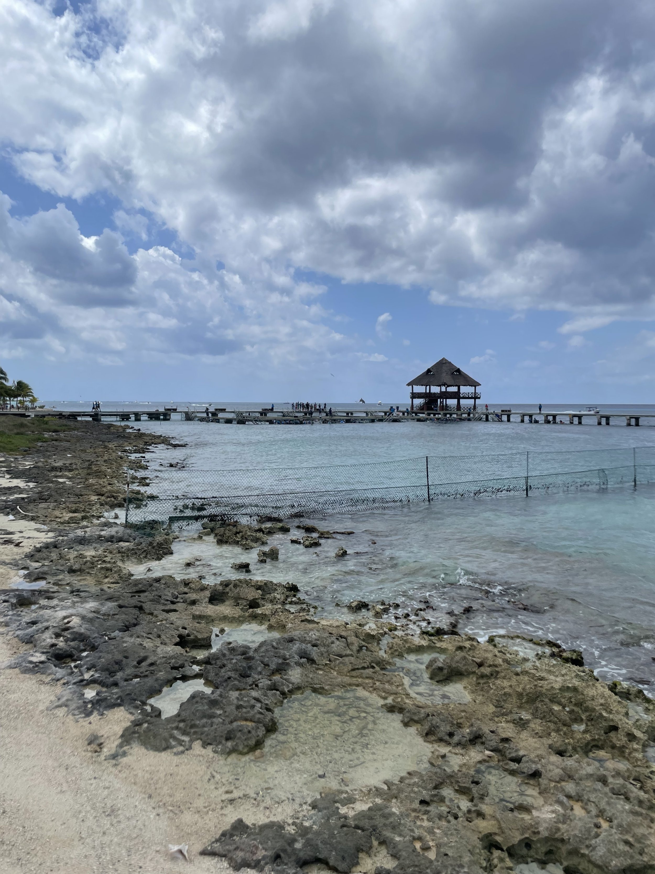 IMG_7228.jpeg
