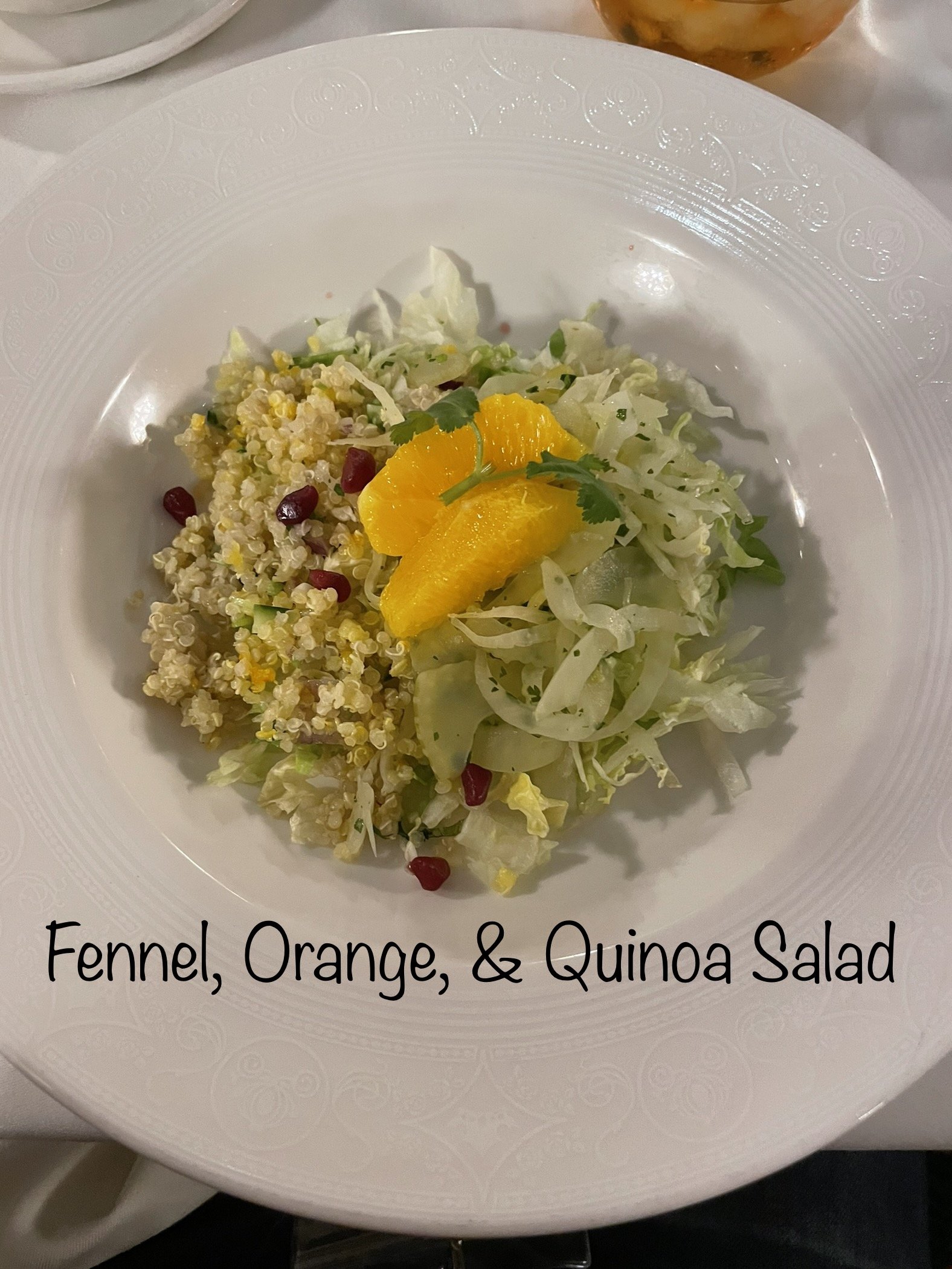 2023-03-13-Dream-Pirates-Menu-Fennel-Orange-and-Quinoa-Salad.jpg