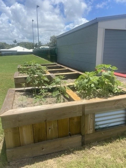 accessible garden bed.jpeg