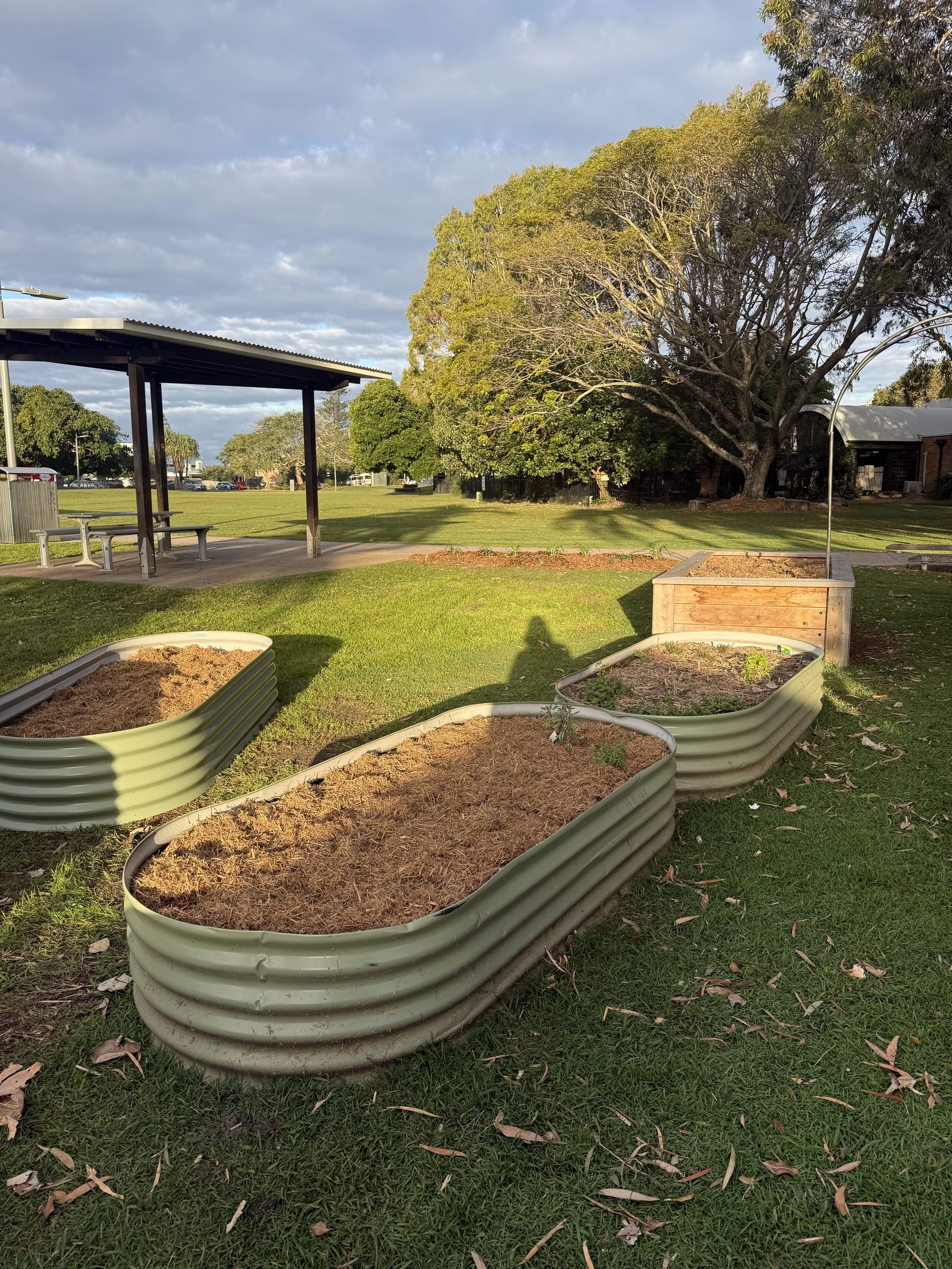 Rent a low garden bed