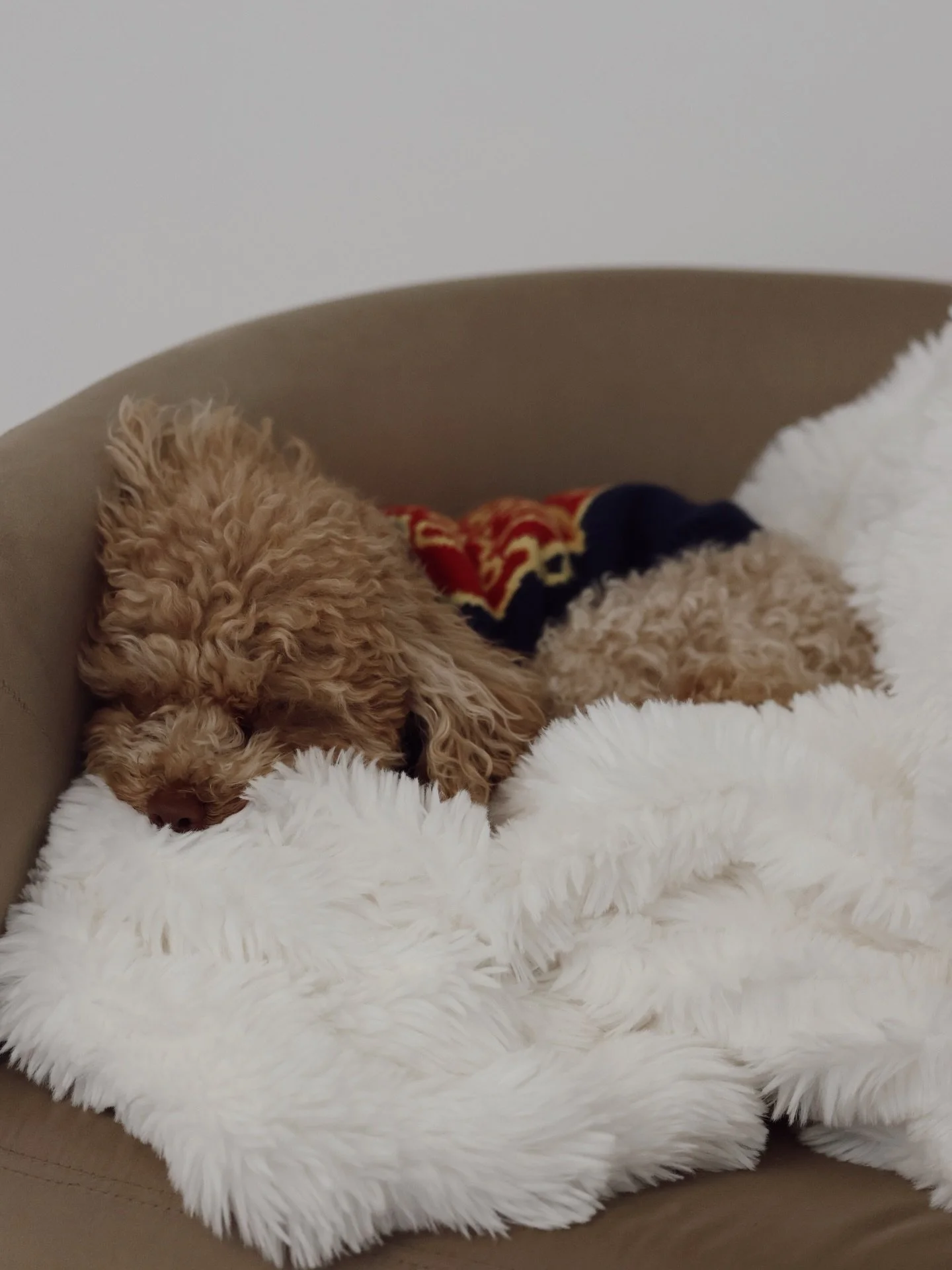 Same energy as your 3PM appointment. 🫠😴🤭