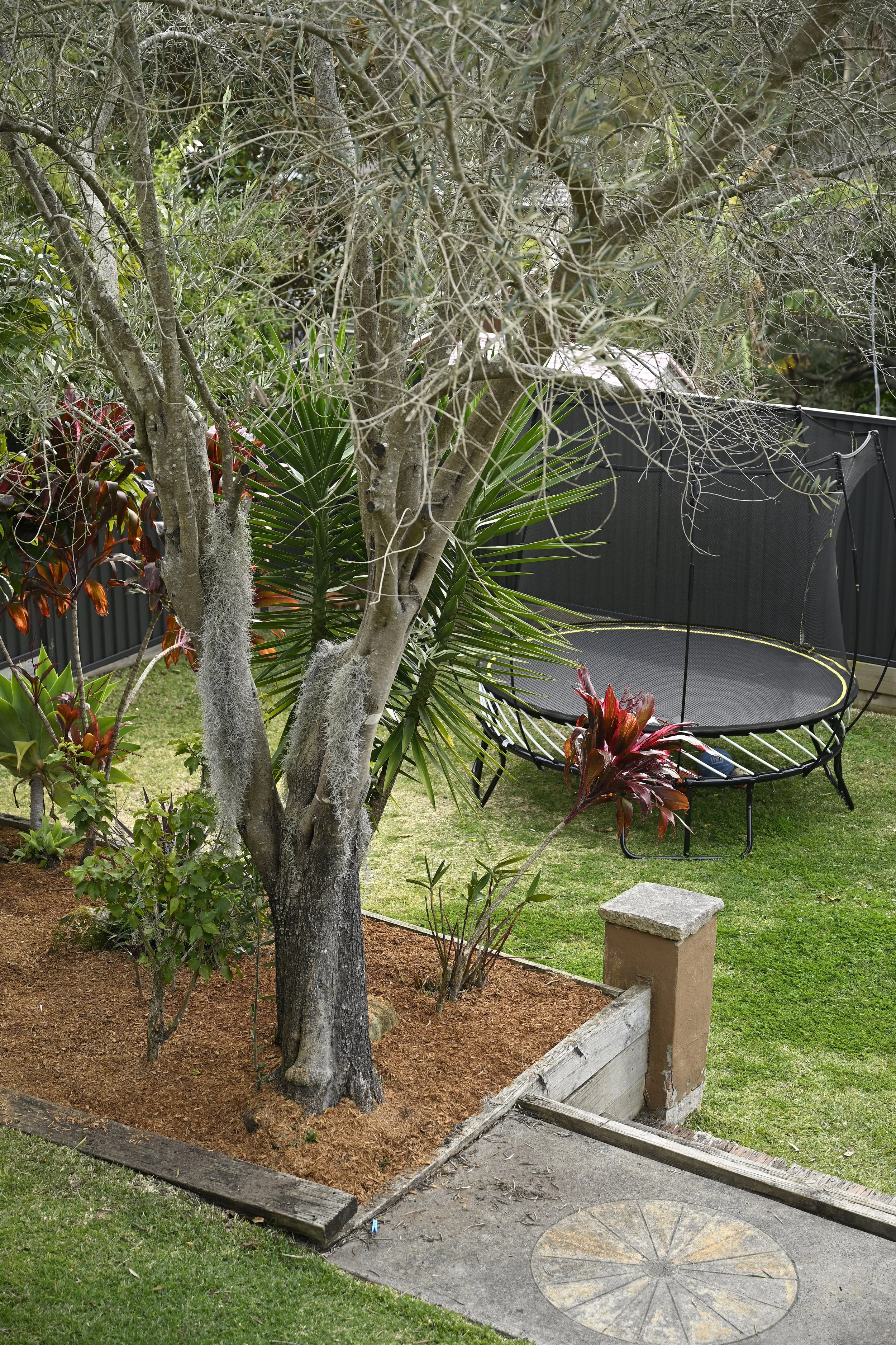An updated backyard with fresh turf, mulch and terraced levels.