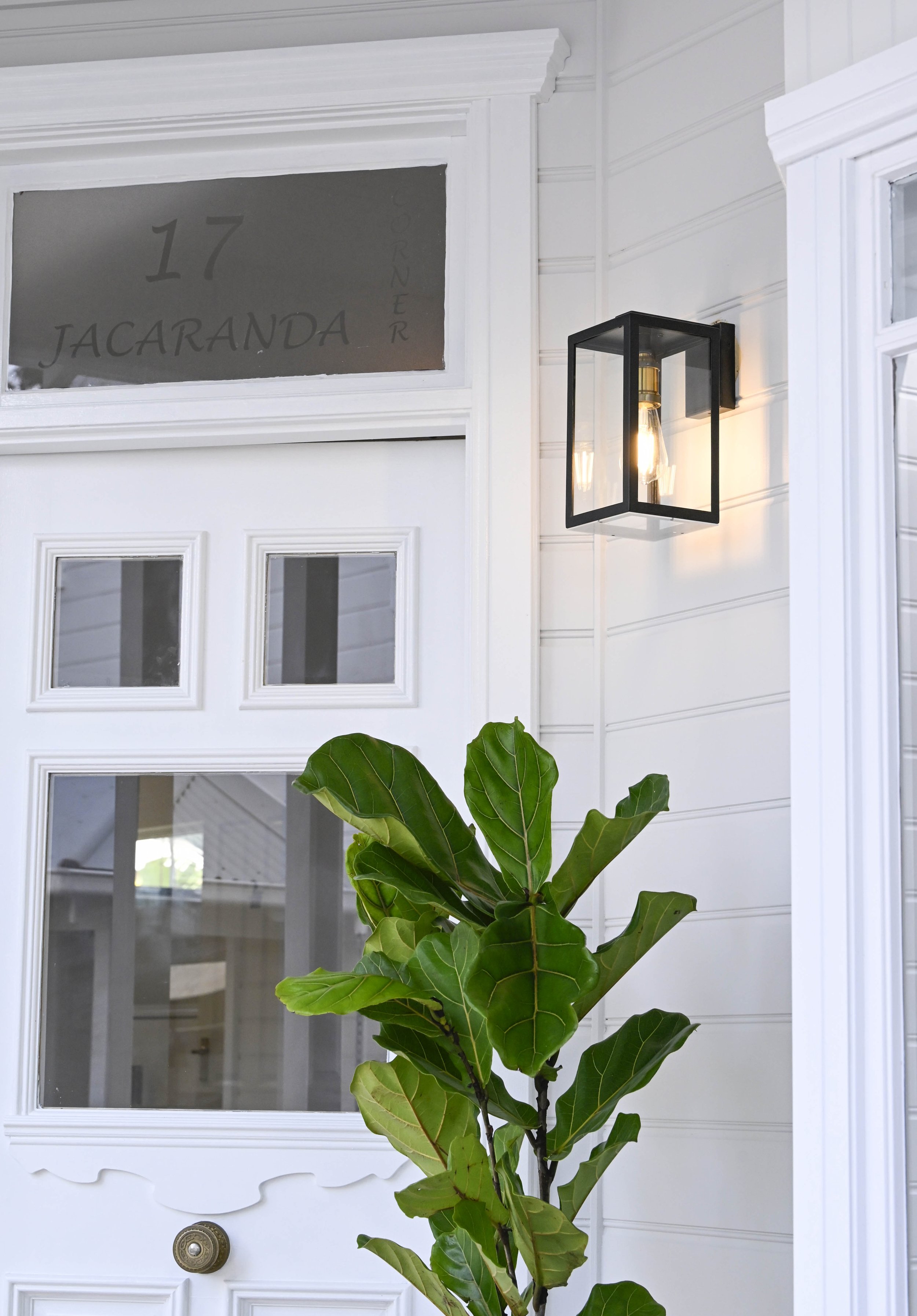 Timber detailing on a heritage front door with a fiddle leaf fig in the foreground.