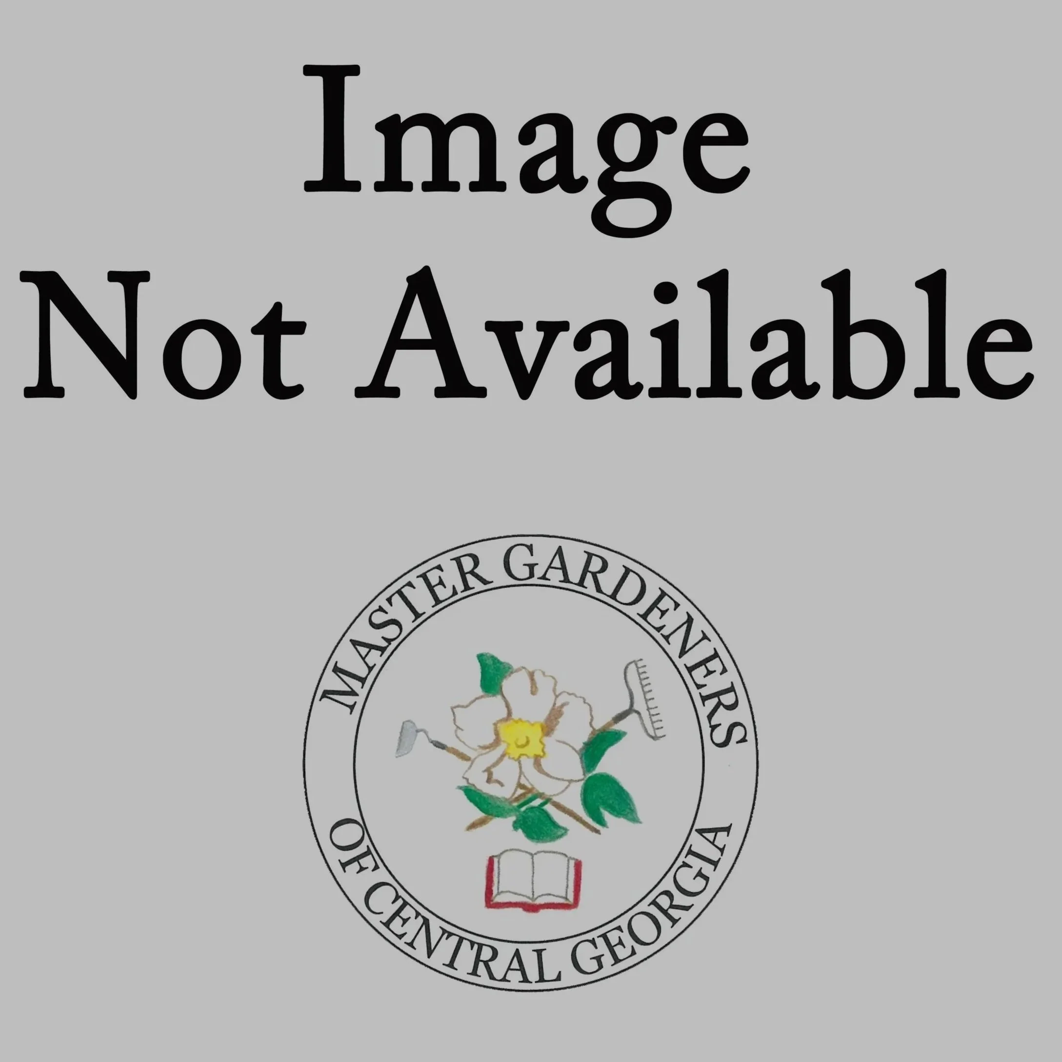 image_not_available2.jpg