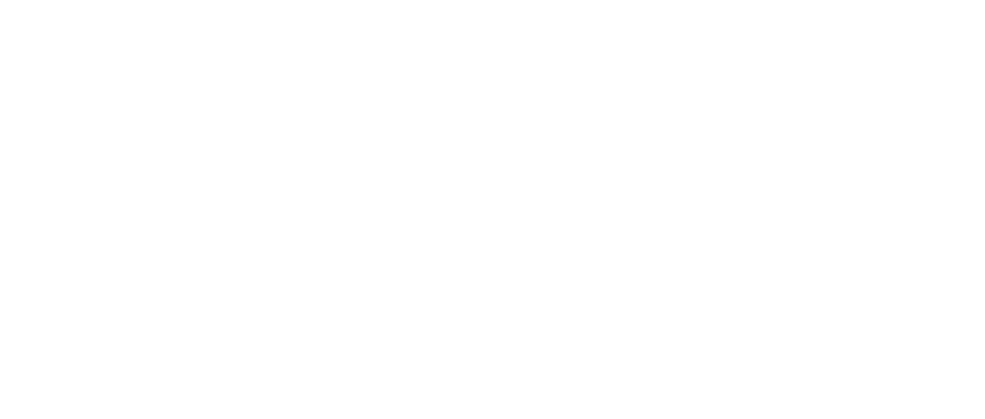 Bhangra &amp; Beats Night Market