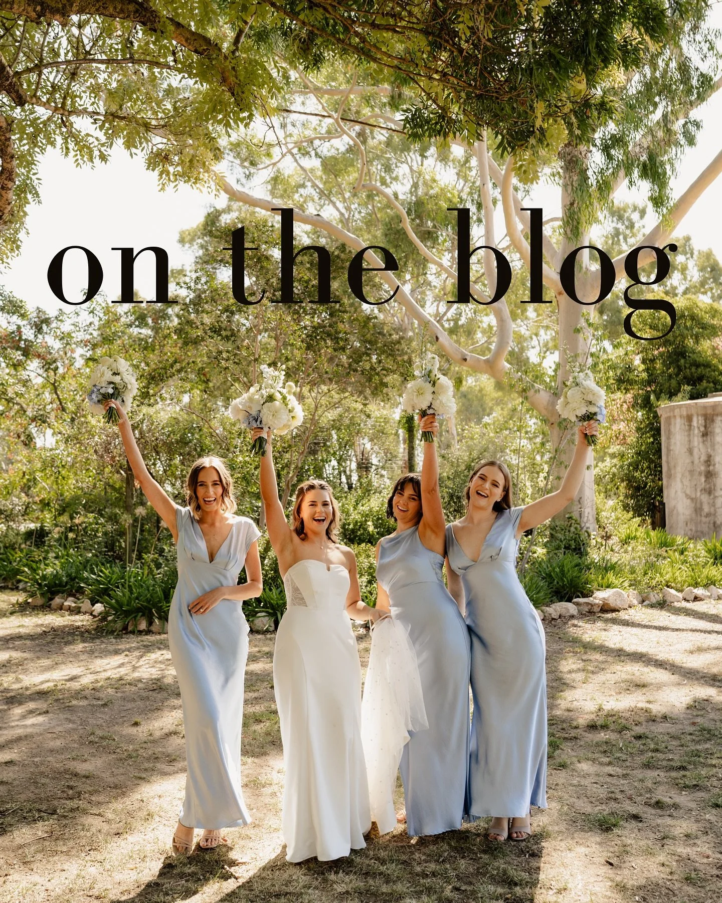 If you&rsquo;ve been on the search for a wedding venue then you needddddd to check out @pavilionbullerwines 👏
It&rsquo;s a stunning venue that has it all and I wrote a blog about it - link in bio 💃
-
-
-
#bullerwineswedding #bullerwines #rutherglen