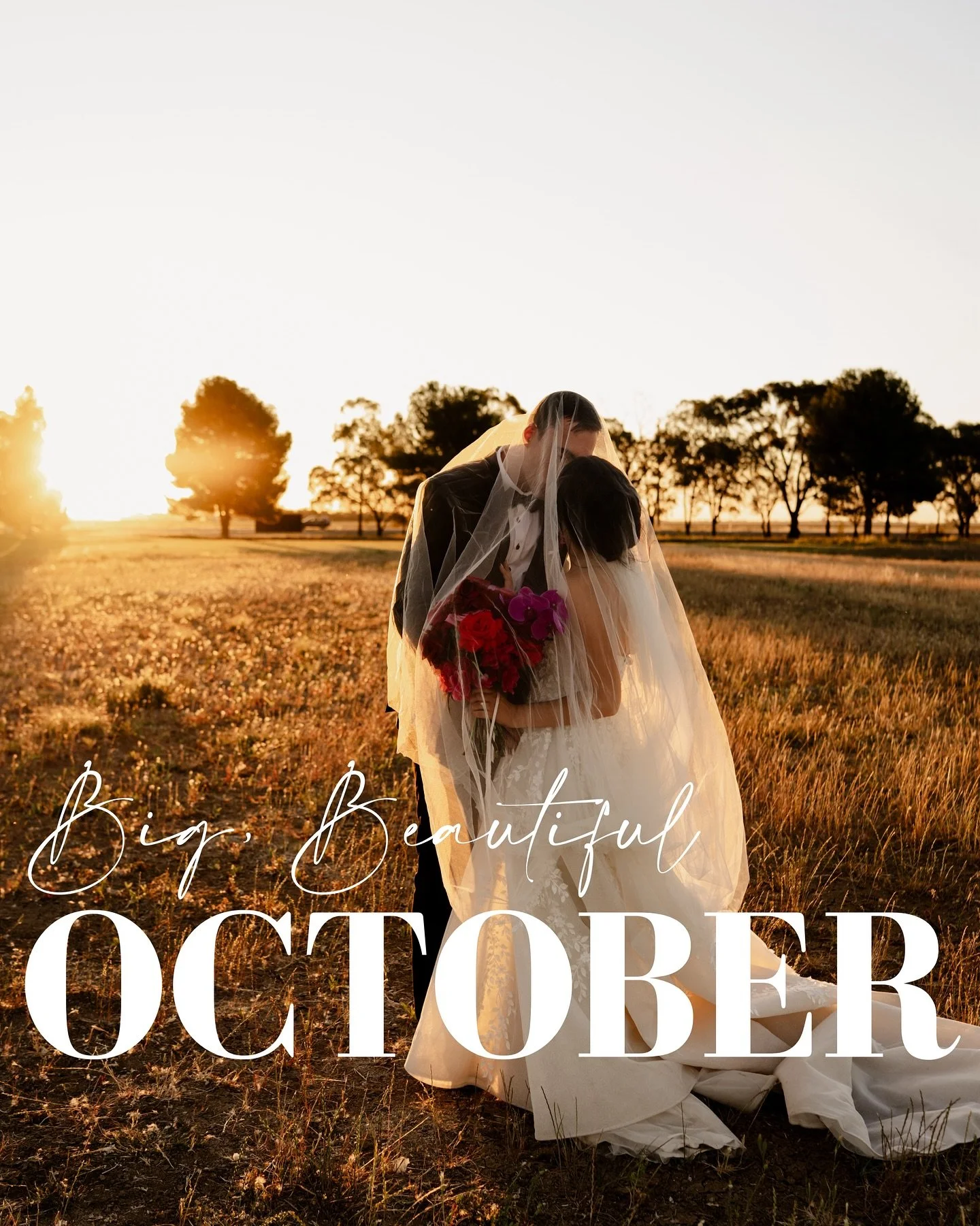 18 shoots in the month of October. 8 of those weddings! That&rsquo;s insane! 😍
Cant thank you enough for allowing me to capture a special moment in your life 💕
-
-
-
#alburyphotographer #wodongaphotographer #alburyweddingphotographer #wodongaweddin