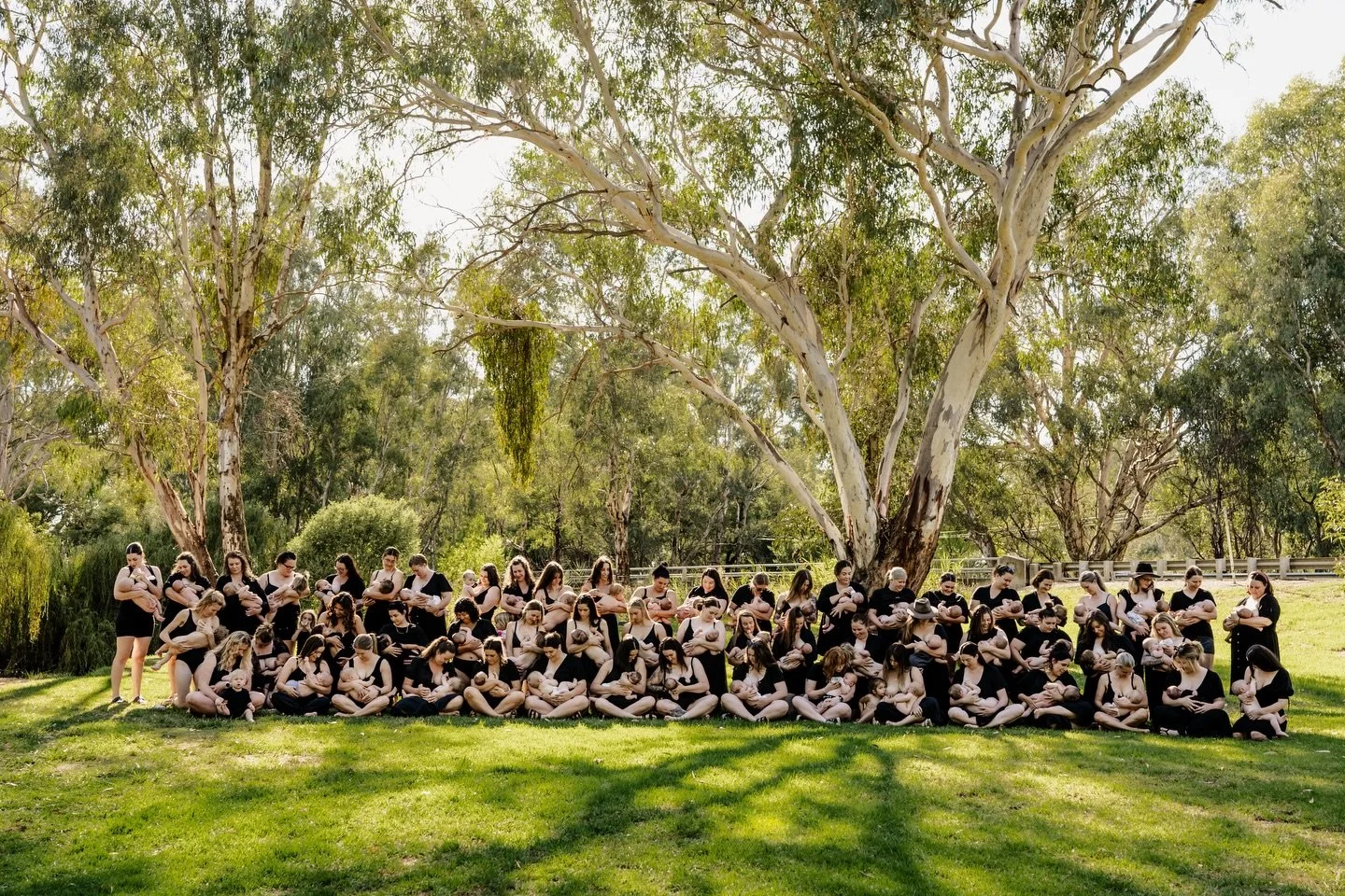 DETAILS FOR FEEDING SHOOT 2026 👇

No you didn&rsquo;t miss it, this is just a look back at the last 3 years 🥹

Details 👇
Date; Tuesday the 10th
Time; starting at 8:30am - group photo at 9:30am (feel free to bring a picnic rug down while you&rsquo;