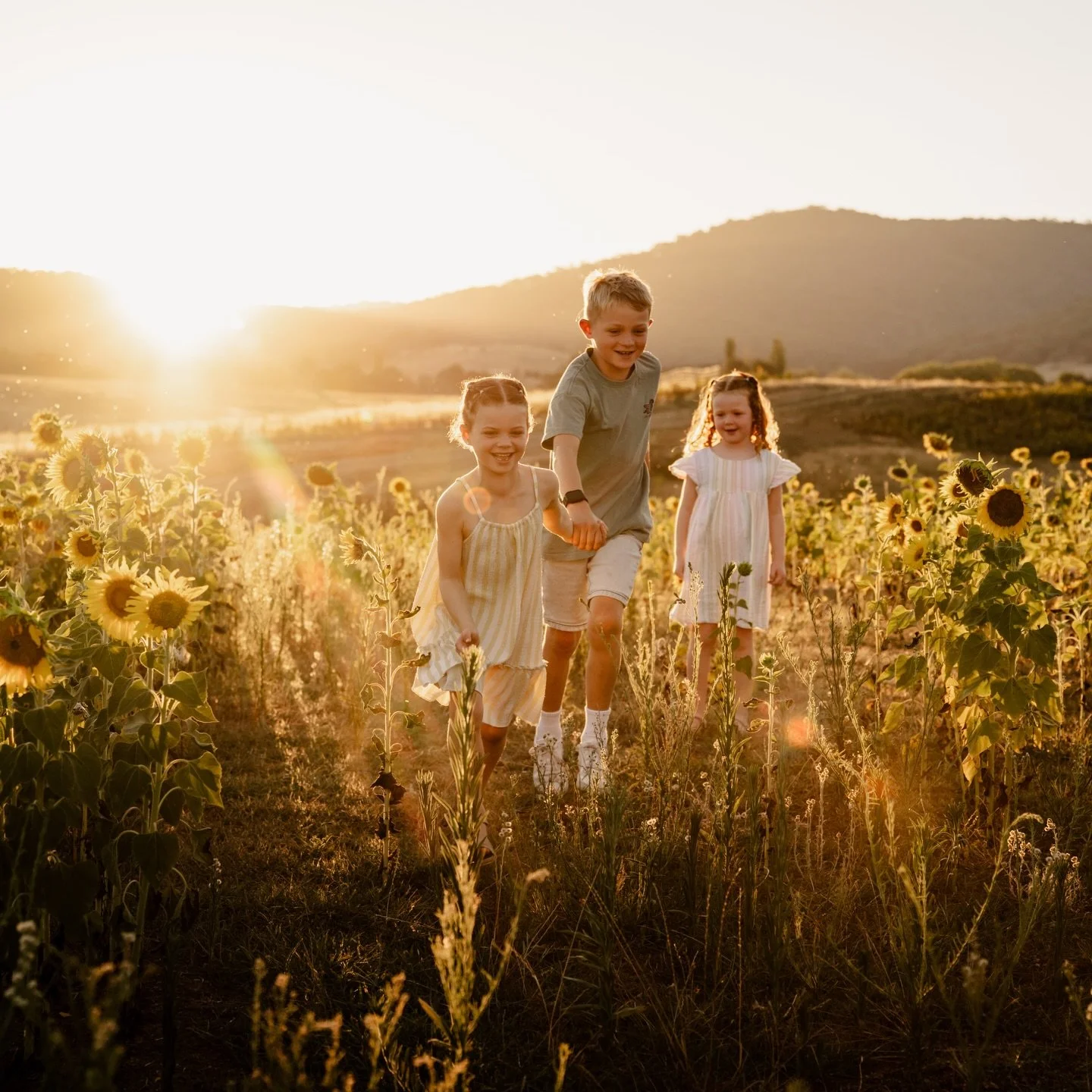When there&rsquo;s an opportunity to do last minute mini sessions in the sunflowers - you take it 😍🌻

Thanks so much @drjosswest for having me and these beautiful families!! Maybe again next year? 😉🌻
-
-
-
#alburywodongasurrounds #yackandandah #a