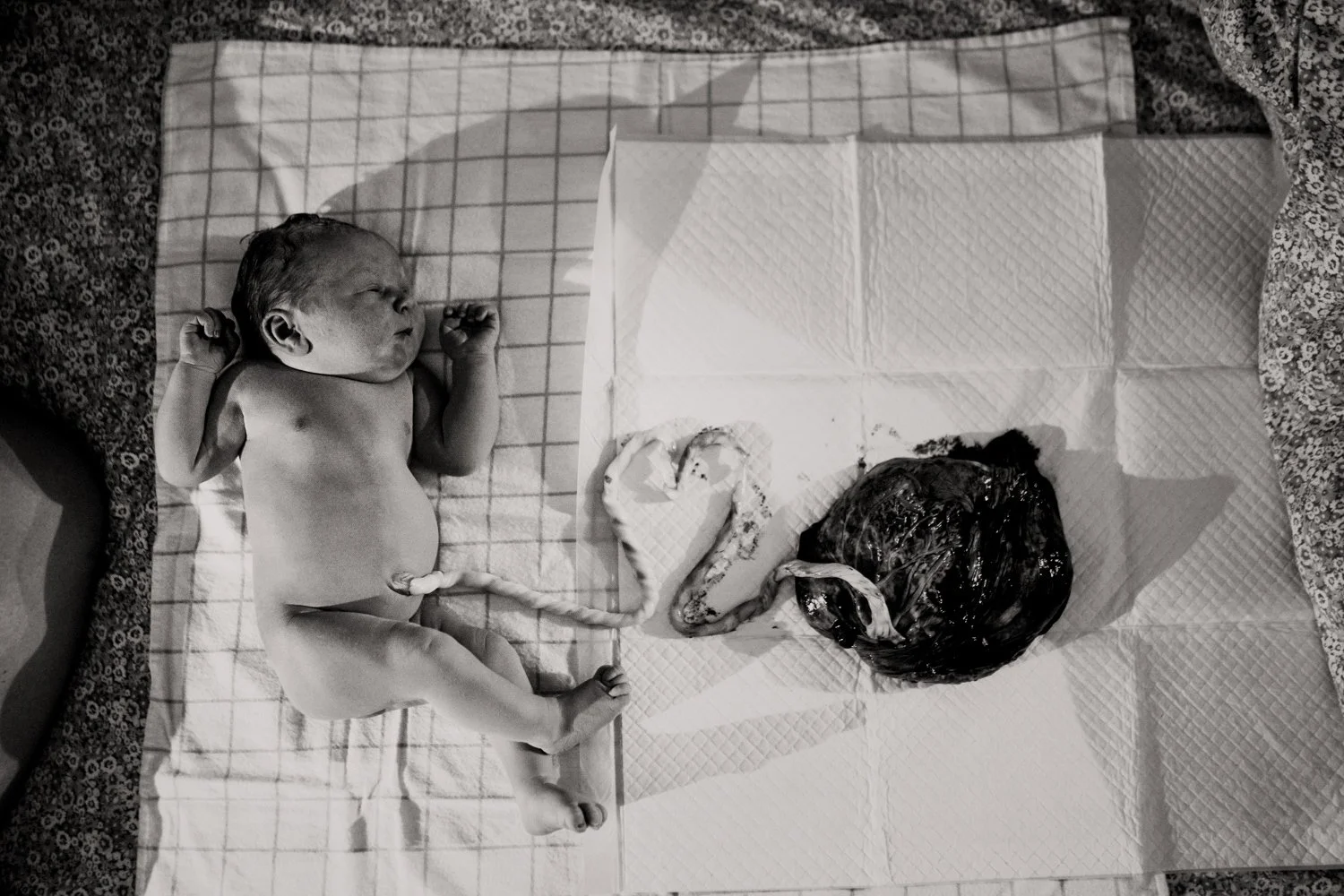 Albury Wodonga Birth Photographer-6.jpg