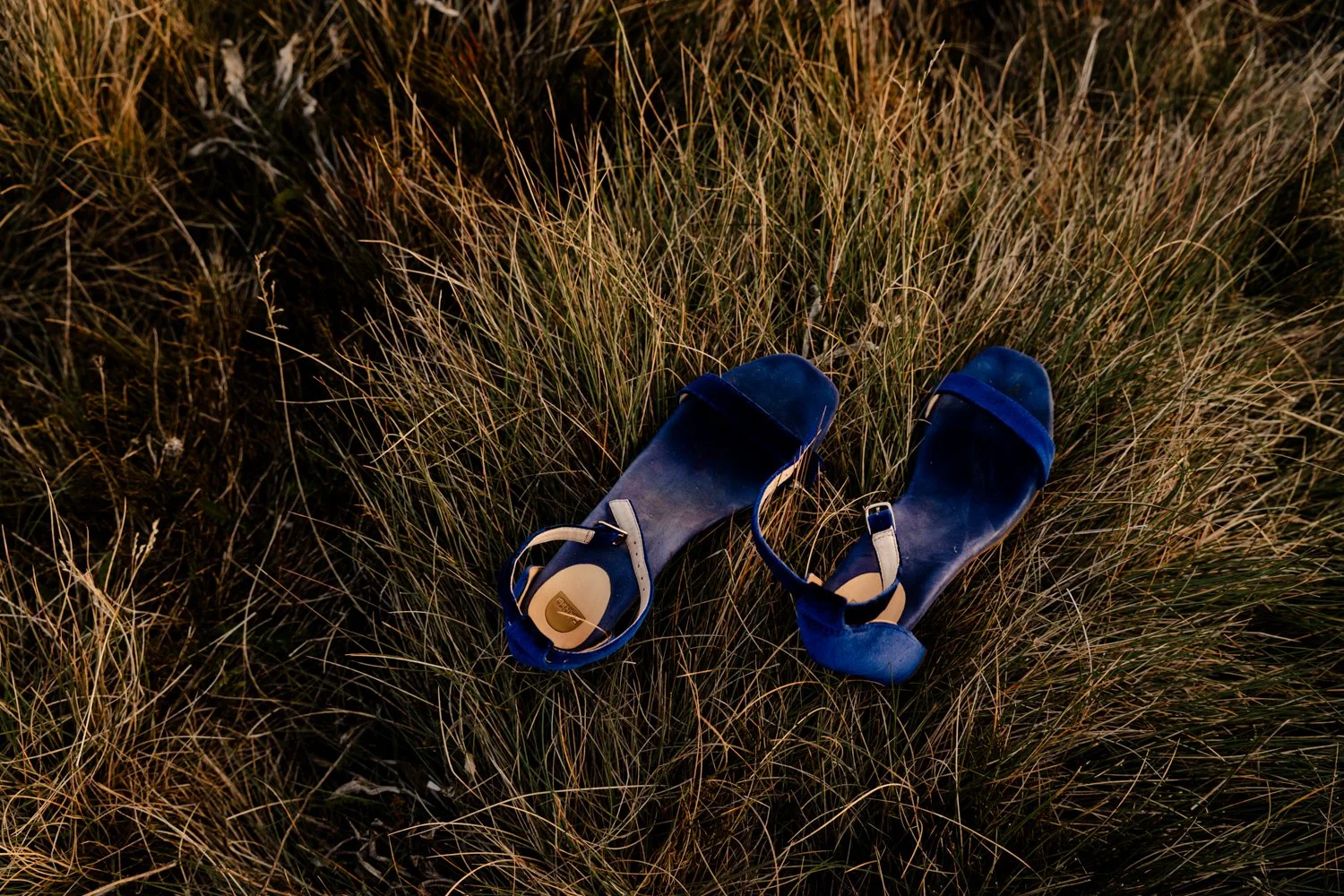 Elopements North East Victoria-149.jpg