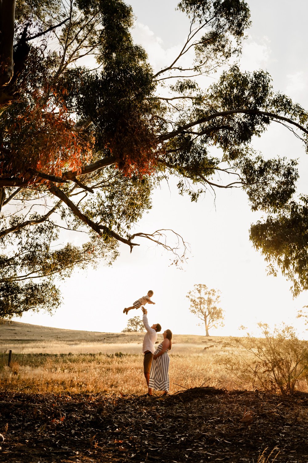 A family of three playing outdoors in a field with trees during sunset. The father lifts a young boy into the air, while the mother stands nearby.
