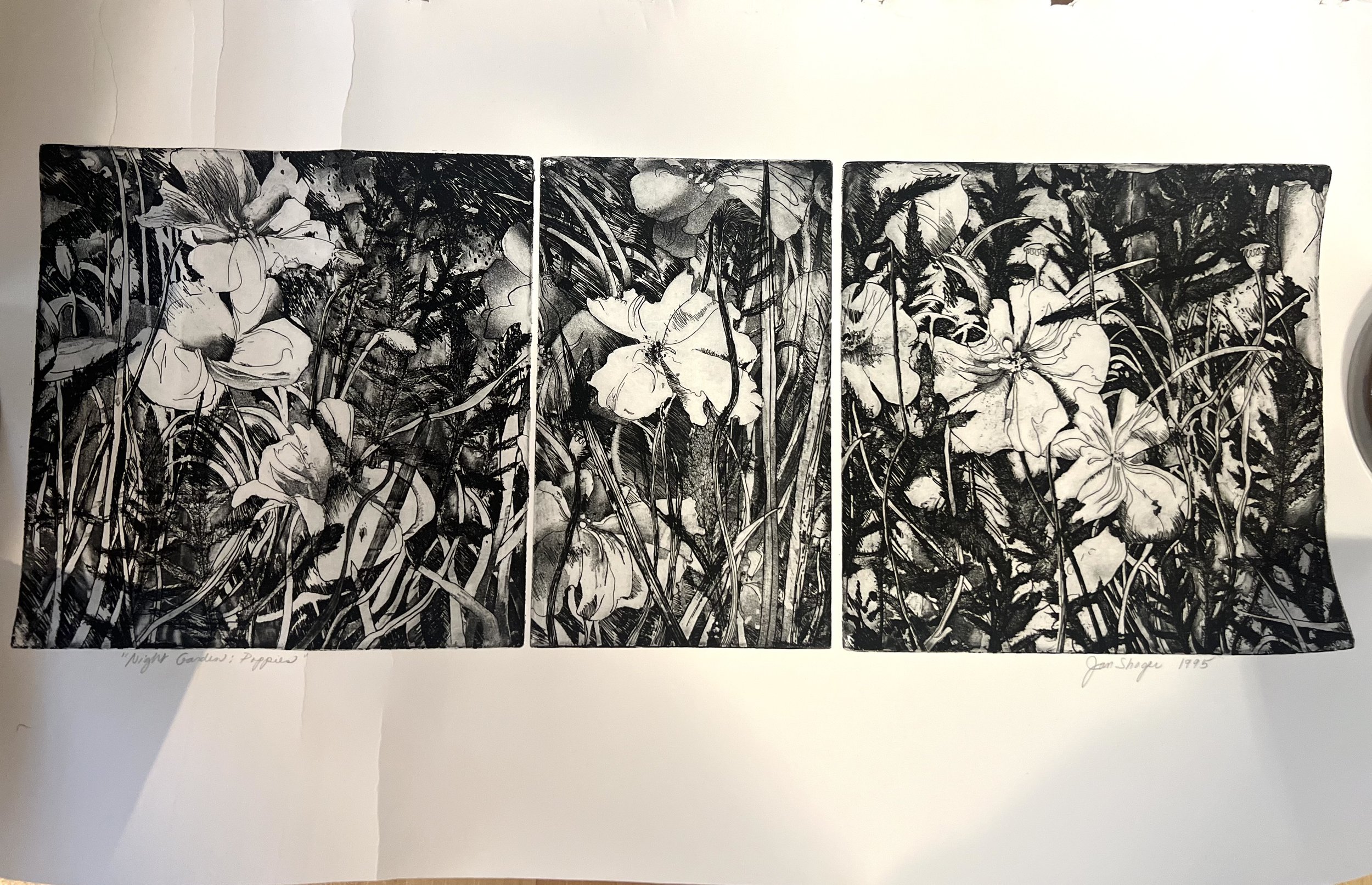 Night Garden: Poppies Lithograph $350. Jan Shoger
