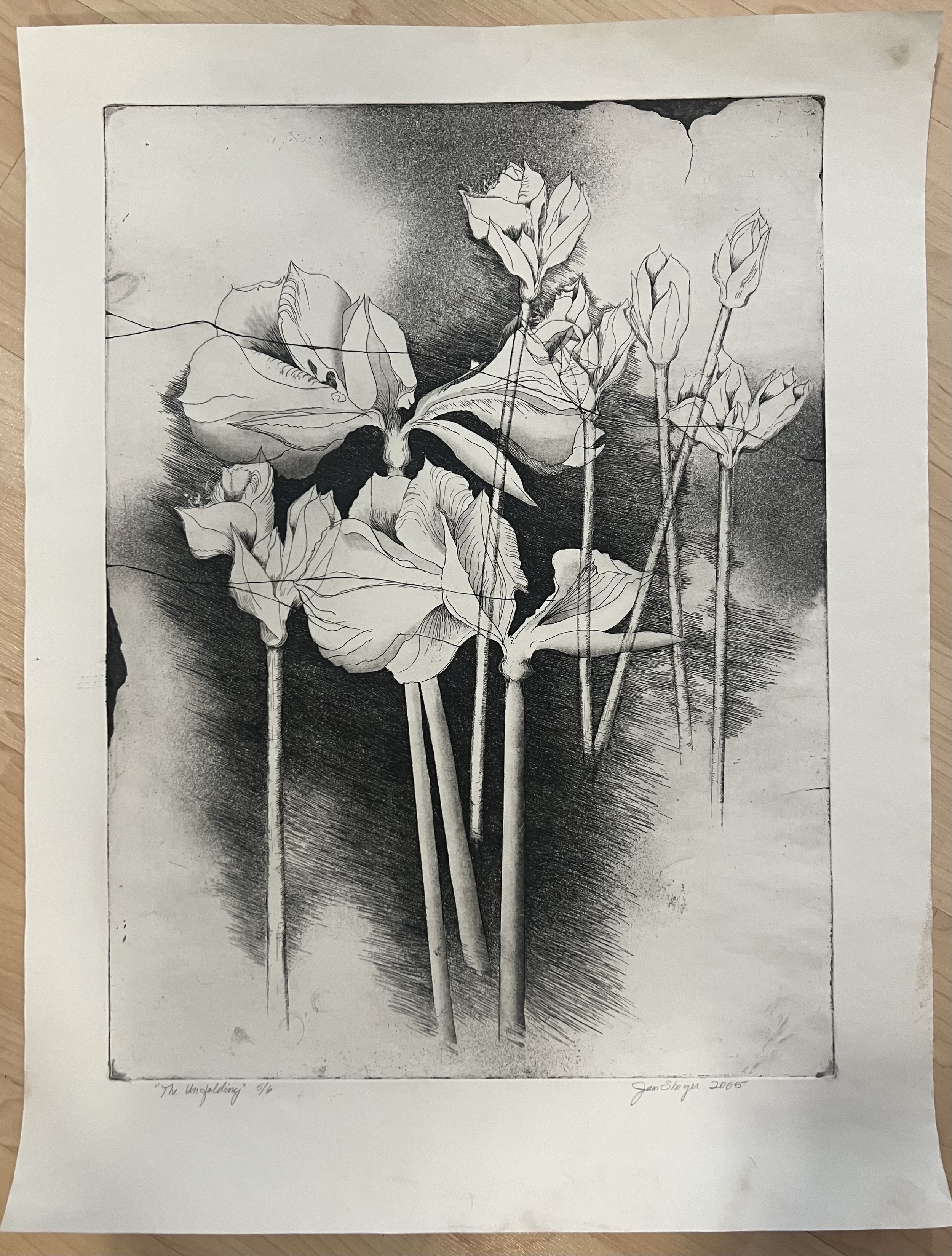 The Unfolding Etching 24 x 36 $350 Jan Shoger