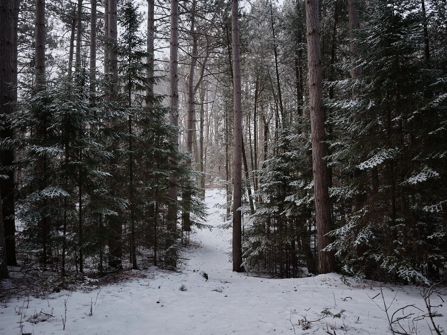 There is Always a Way