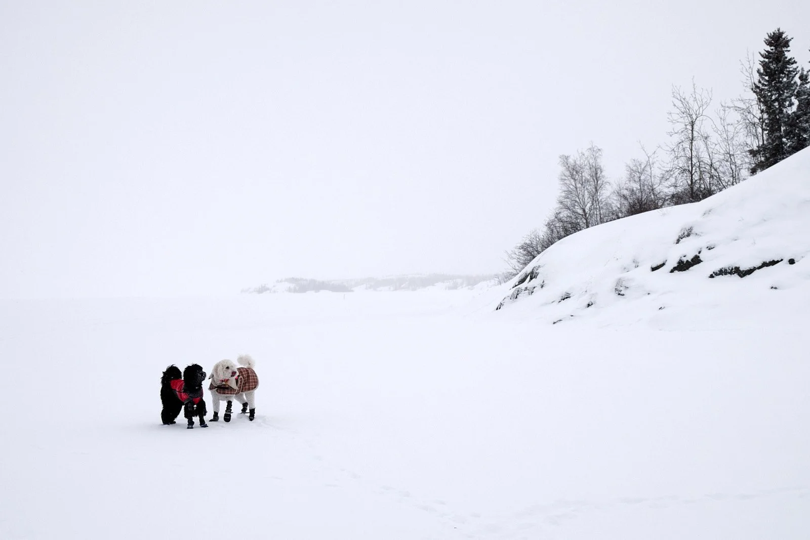 Lost (Mars and Saydee)