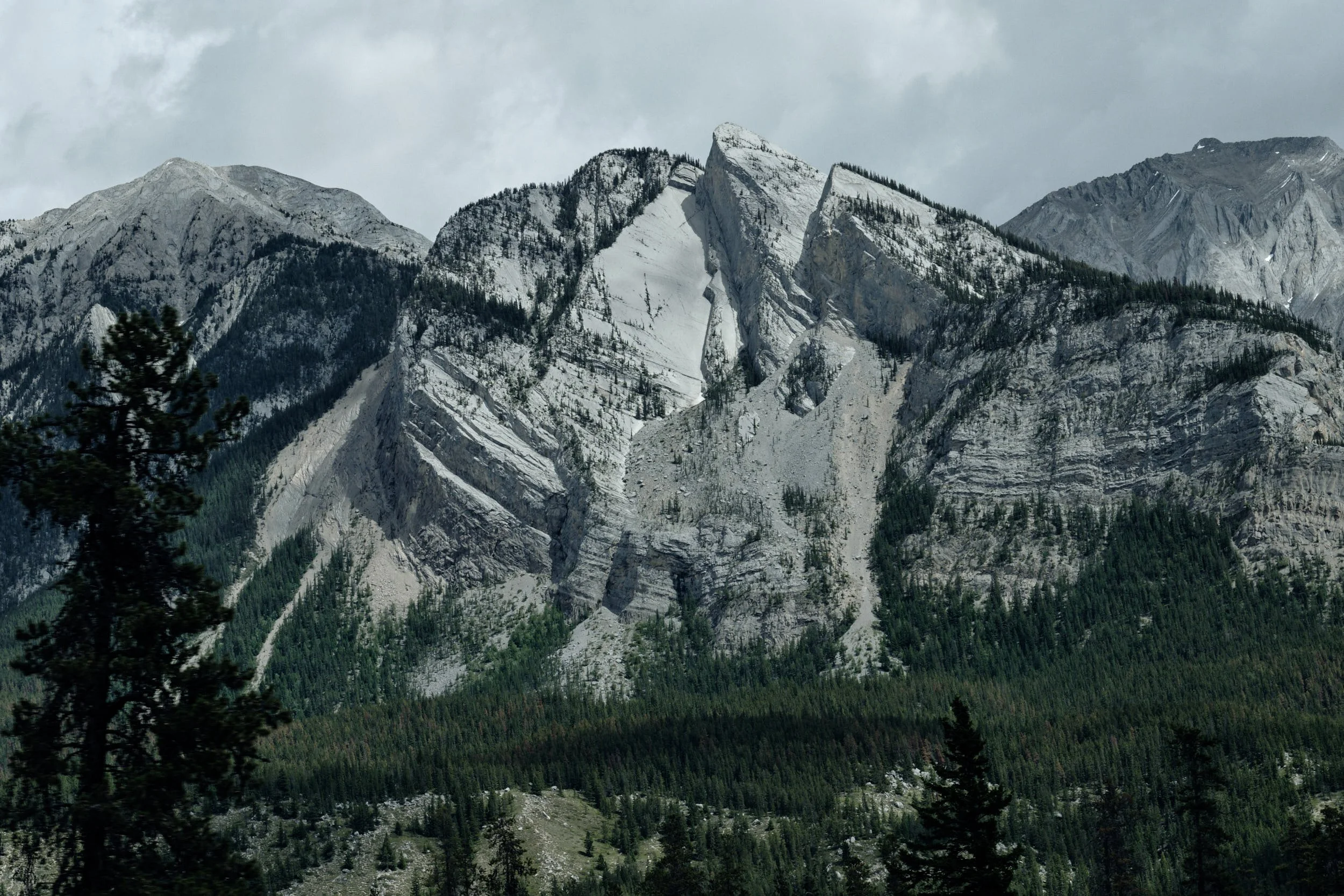 Jasper-20170622-862.jpg