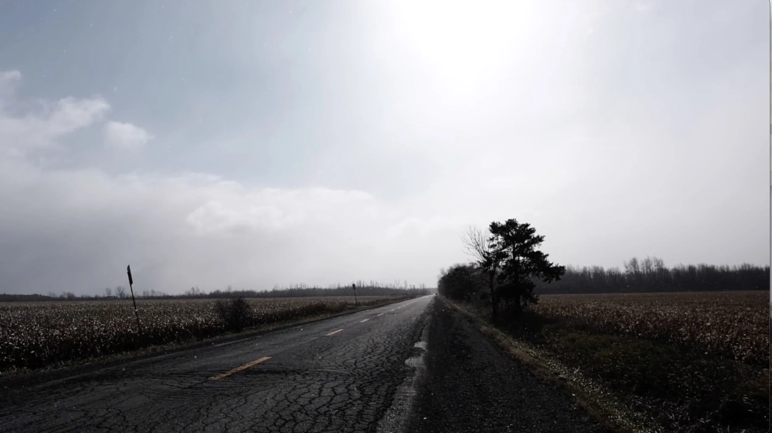 Image 2023-03-02 at 4.05 PM.jpeg