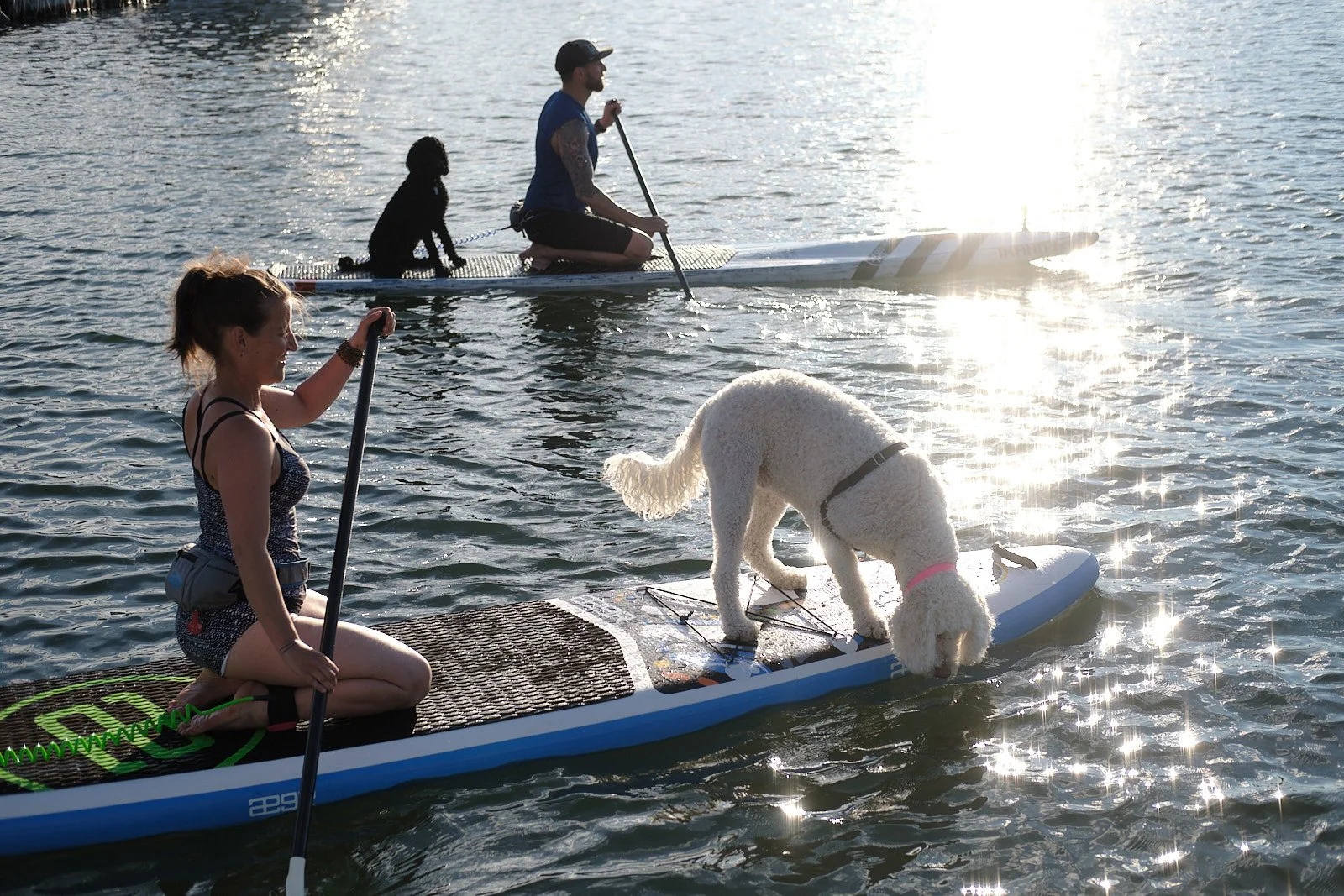 Paddle Farm-170712-176.jpg