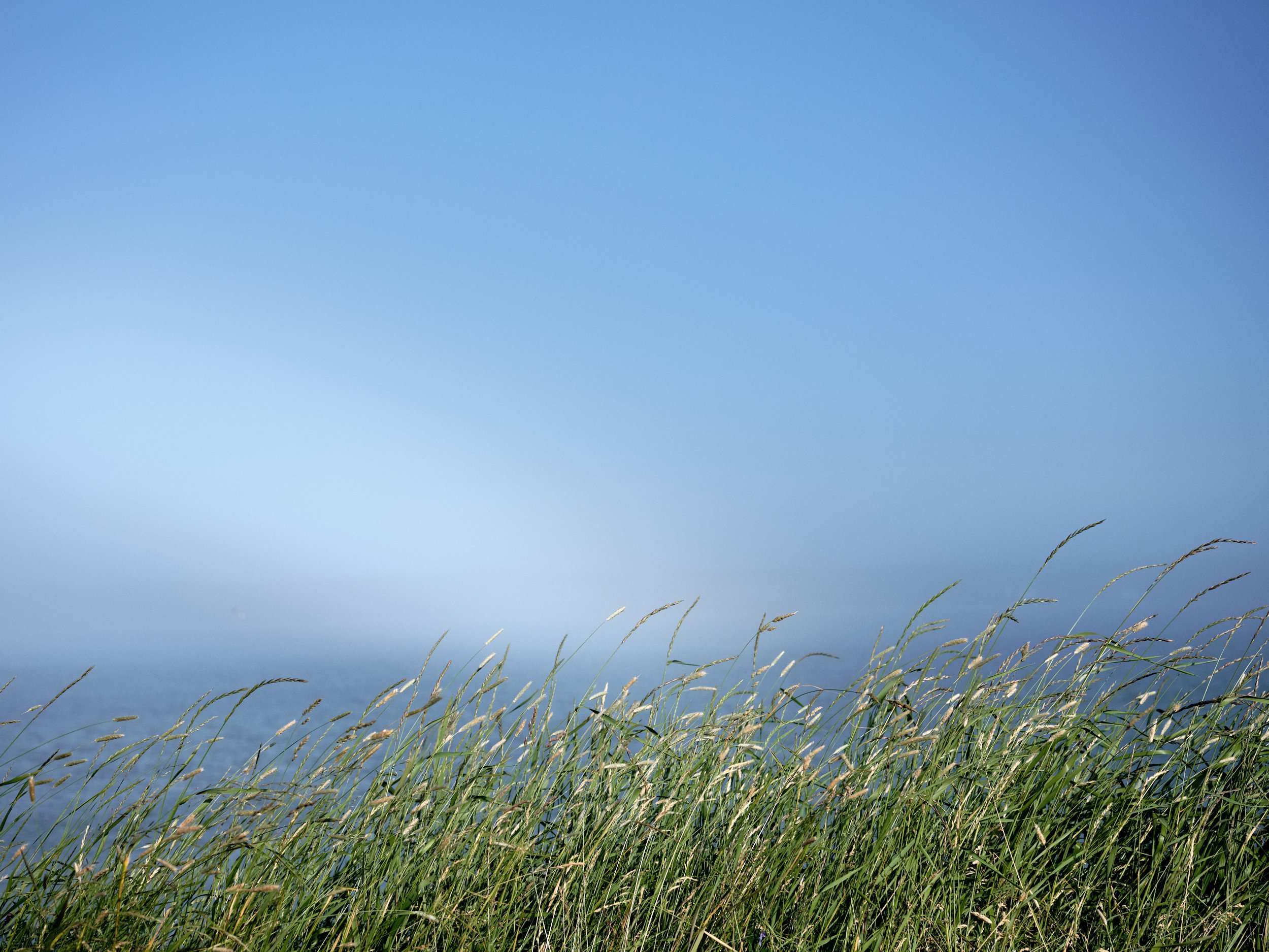 NovaScotia-20180710-68.jpg