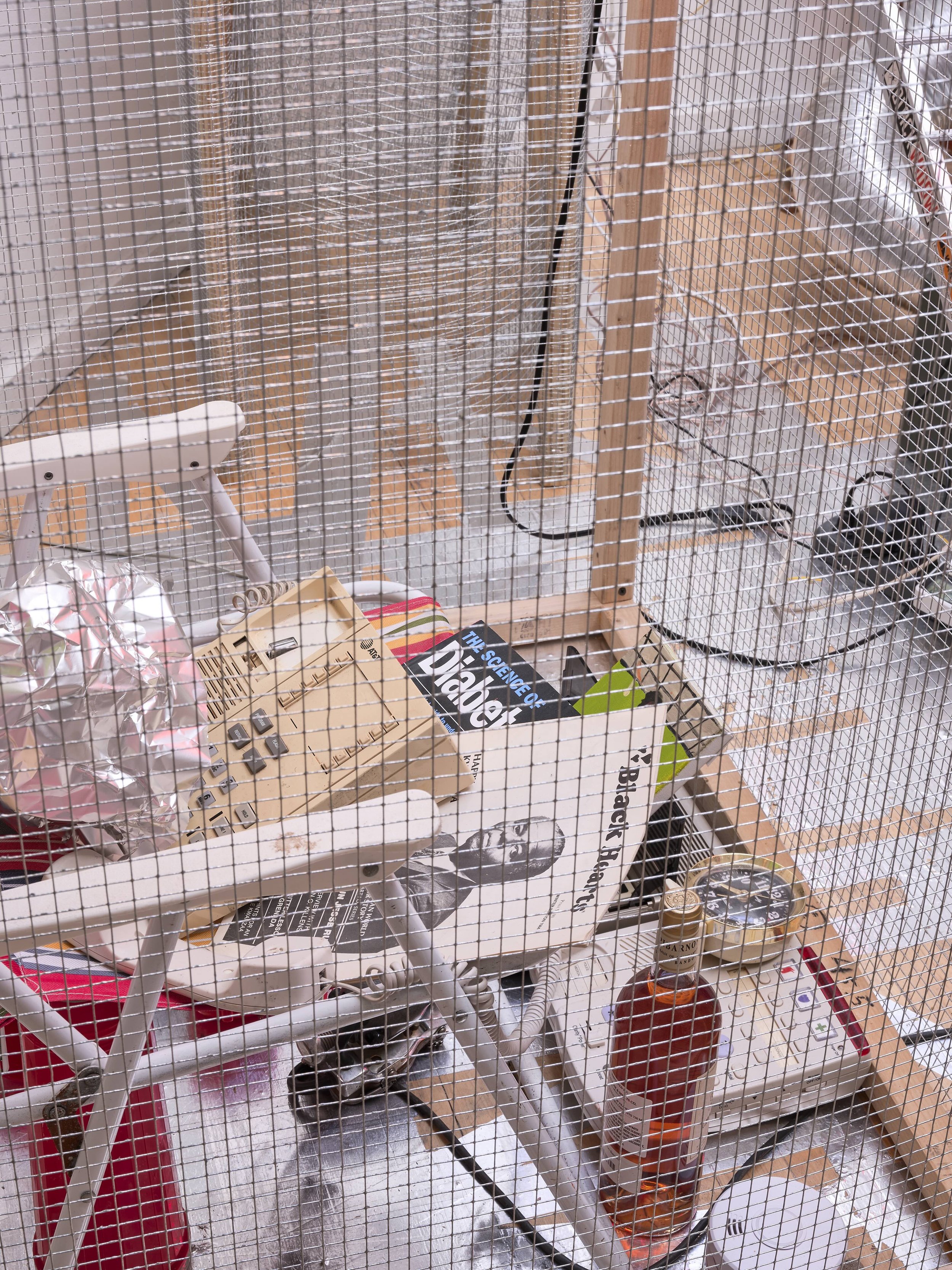 Subtitled Gallery-2-Feb 24 2026-72dpi-WebUse.jpeg