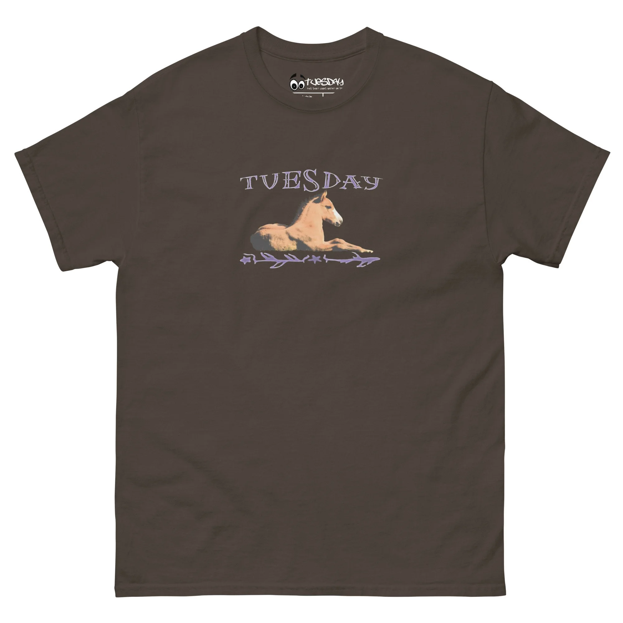 unisex-classic-tee-dark-chocolate-front-6750ffbc5eccf.jpg