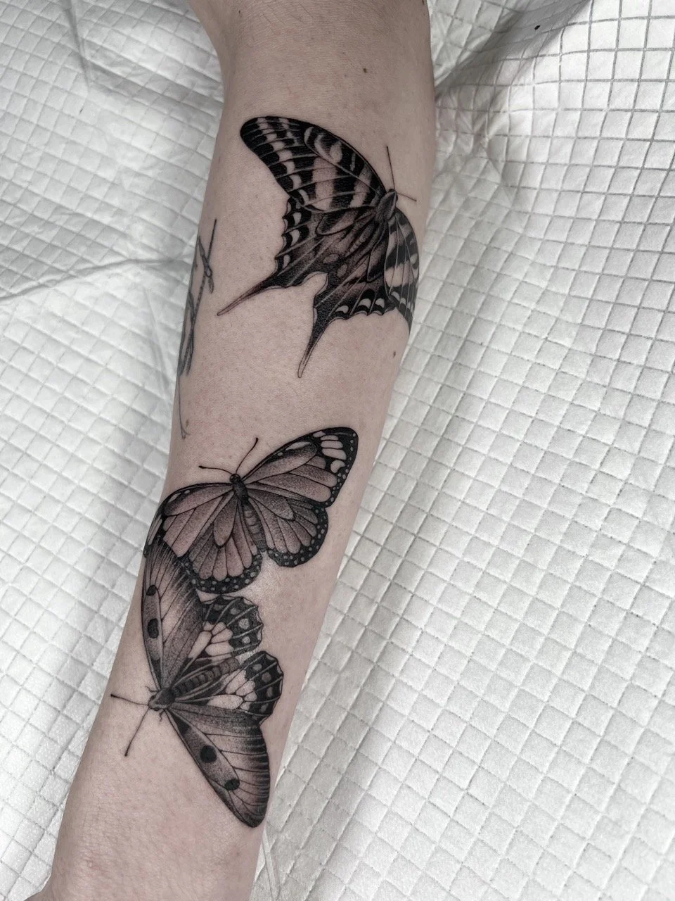 Malika-Rose-Tattoo-artist butterfly Large.jpeg