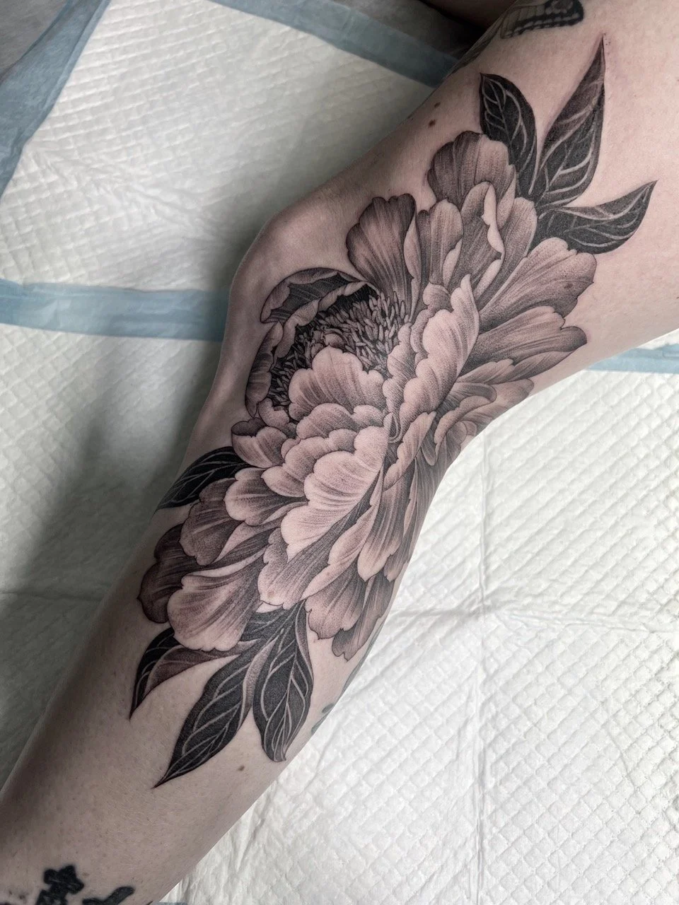 Malika Rose Tattoo-artist australian-flower Large.jpeg