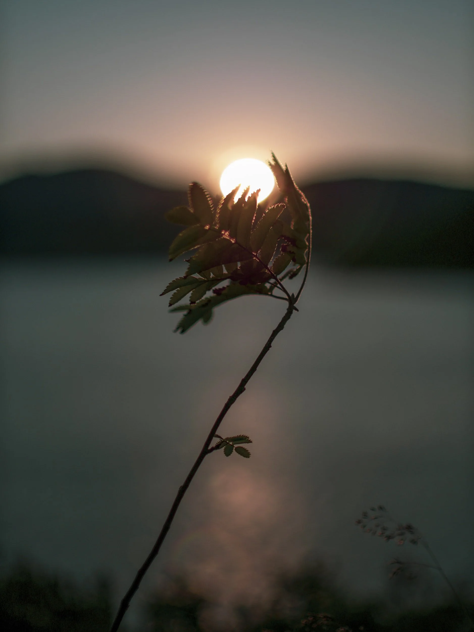 unsplash-image-LrmIh_f1Apw.jpg