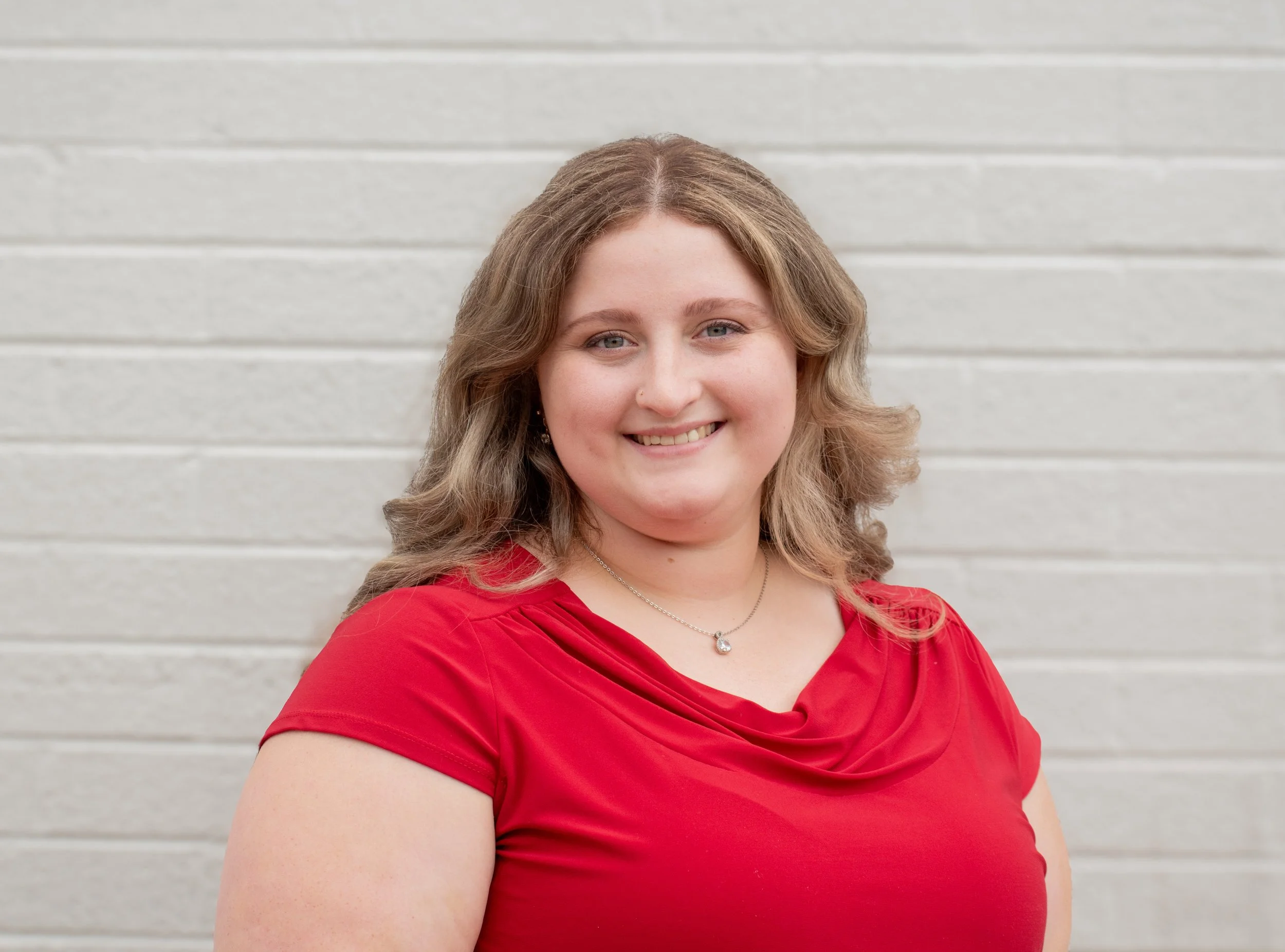 Close-up of various green and reddish-purple succulent plants with water droplets on their leaves.