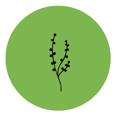 A minimalist black line drawing of a small branch with berries inside a green circle with black background.