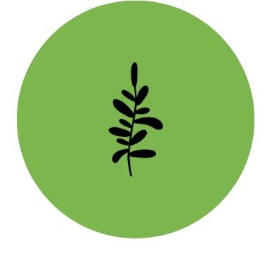 A simple black line drawing of a small leafless plant inside a green circular background.
