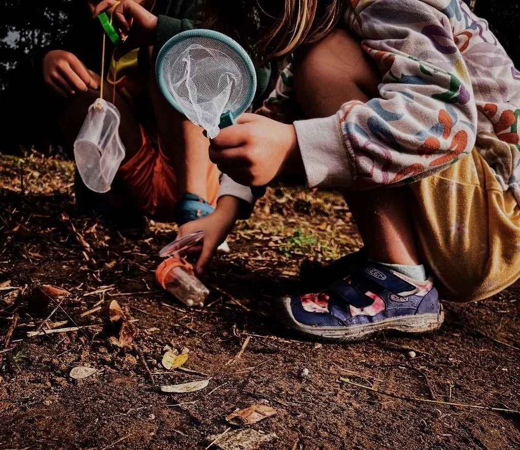 Children outdoors exploring the ground with magnifying glasses and collecting small objects in mesh bags.