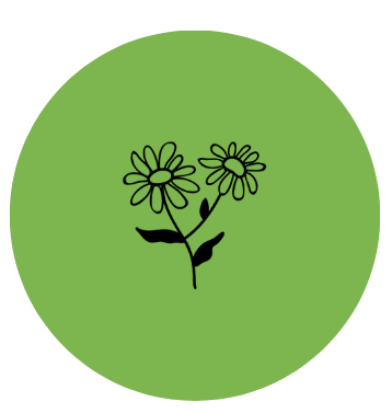 Black line drawing of two daisies on a branch, inside a green circle.