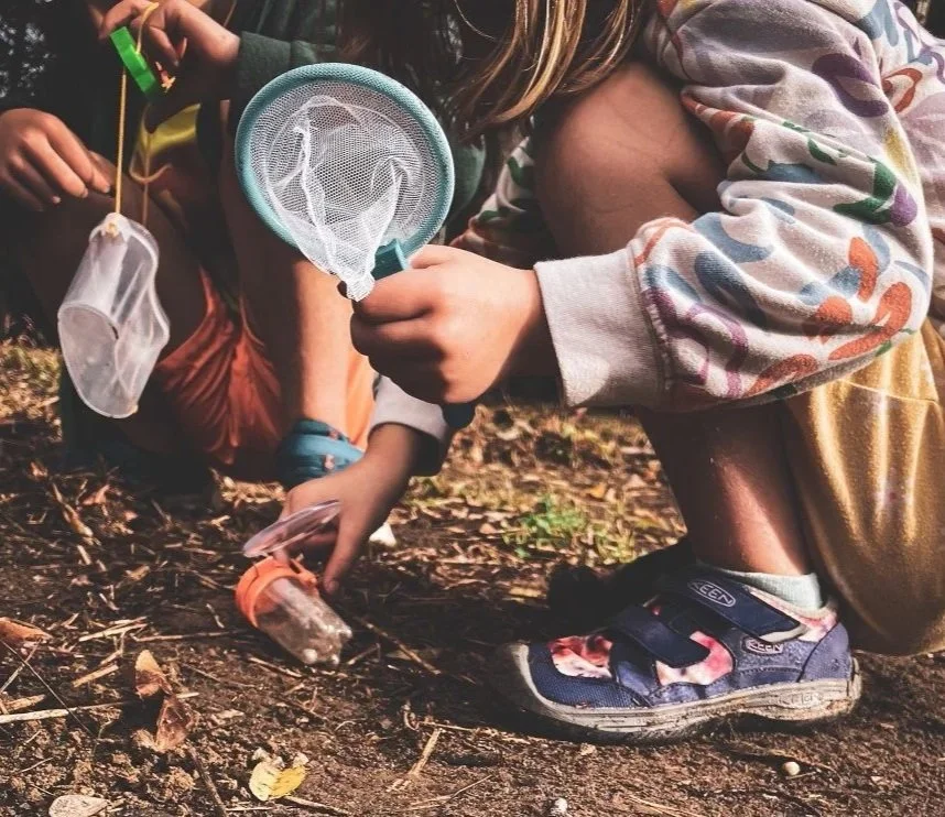 Children crouched down outdoors, examining the ground with a small net and a magnifying glass, engaging in a nature exploration activity.