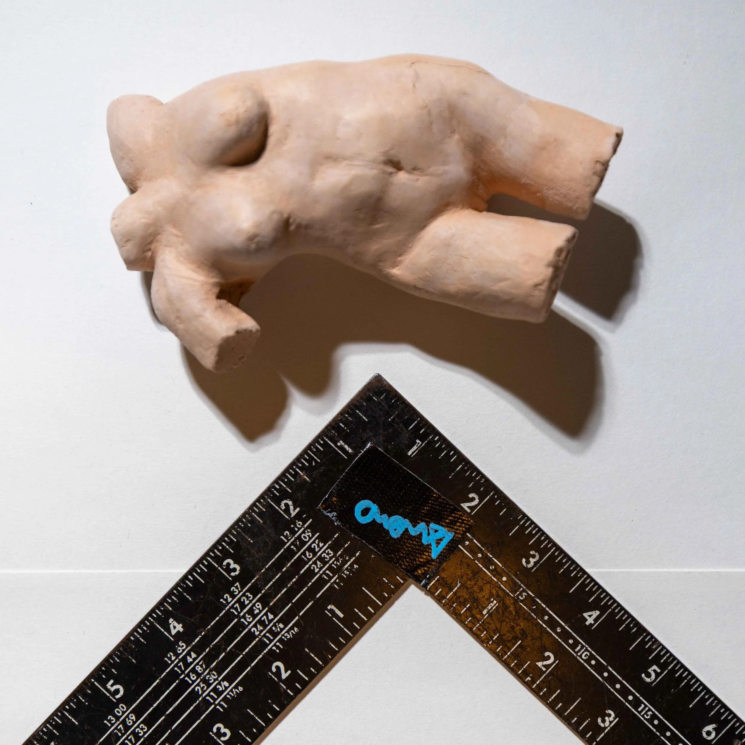 Torso 1