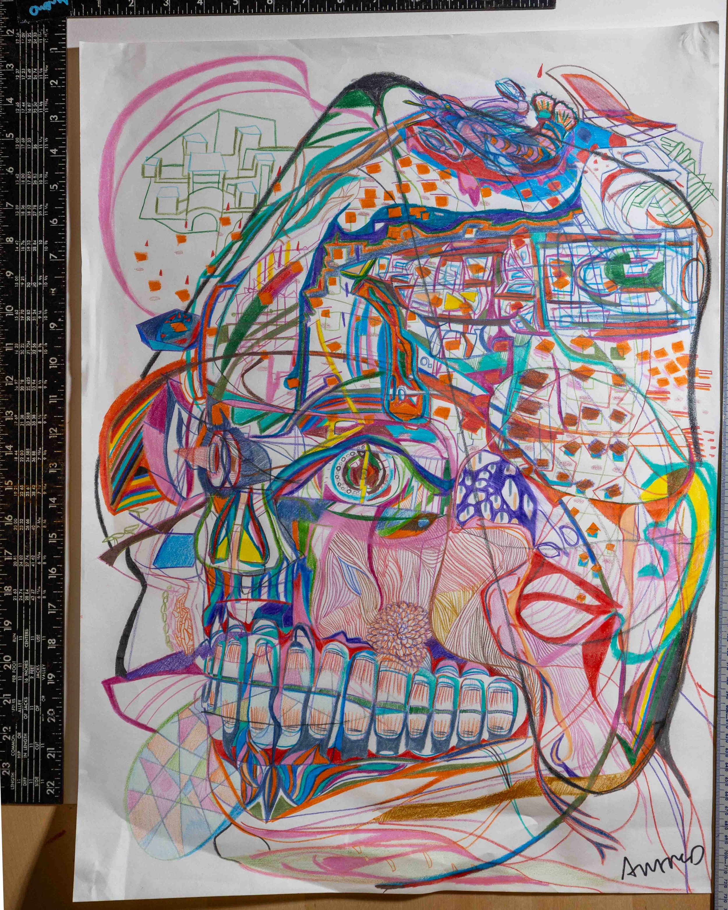 Skull Expansion