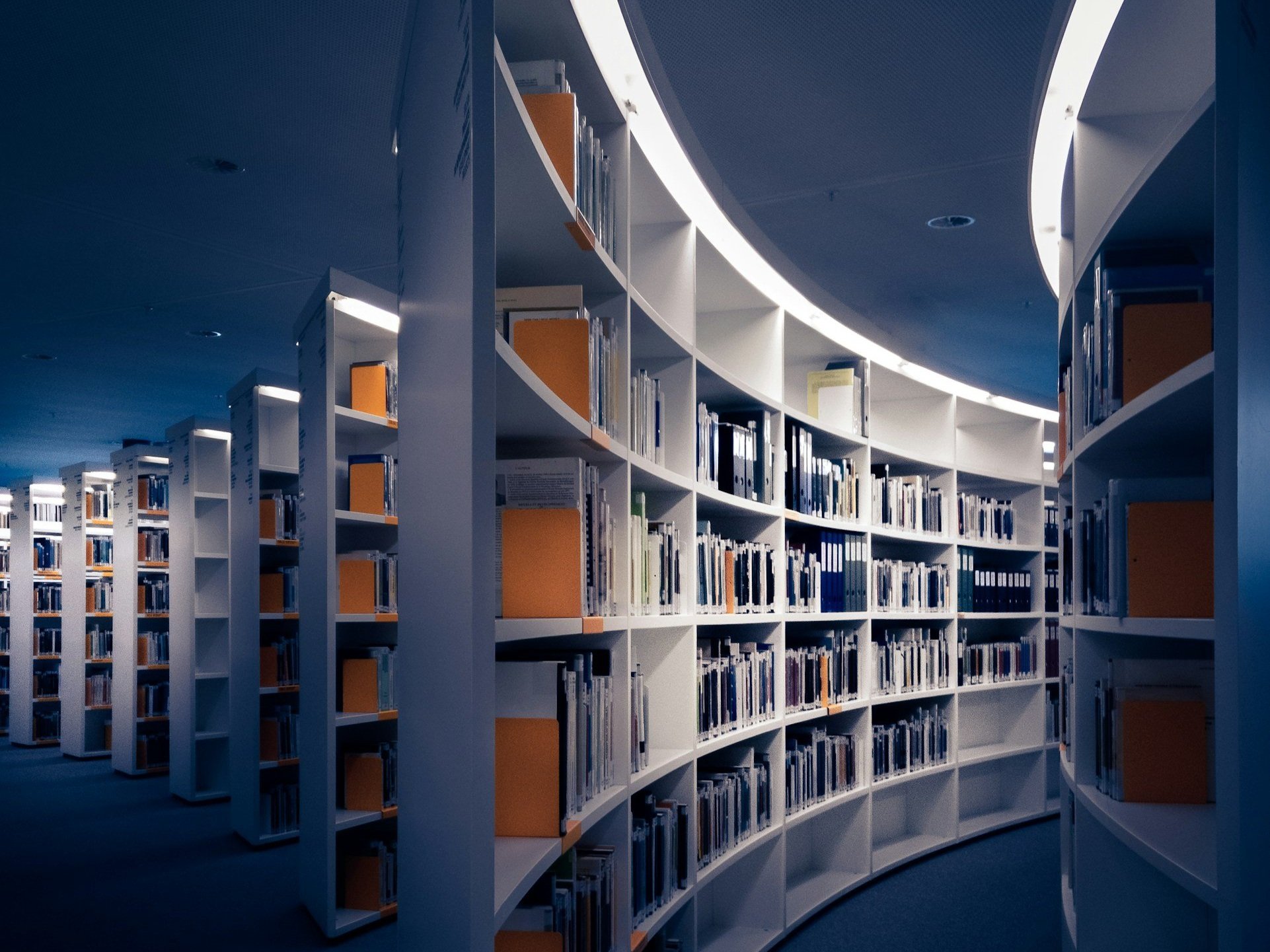 Niche Market Research Tips and Best Practices for Aspiring Authors