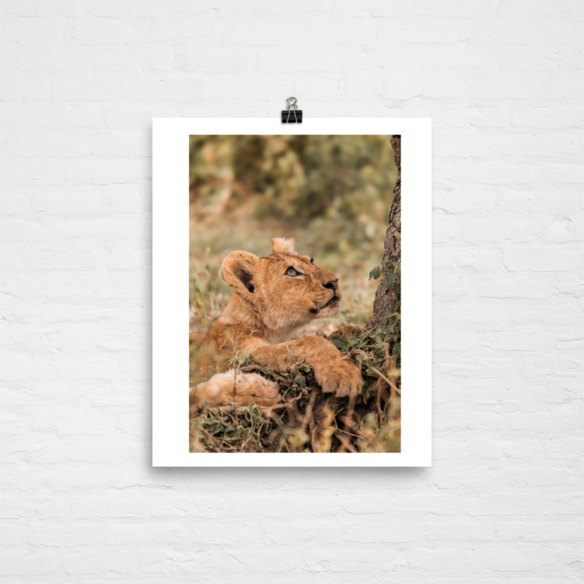 enhanced-matte-paper-poster-(in)-8x10-transparent-661bf622e4fa6.png