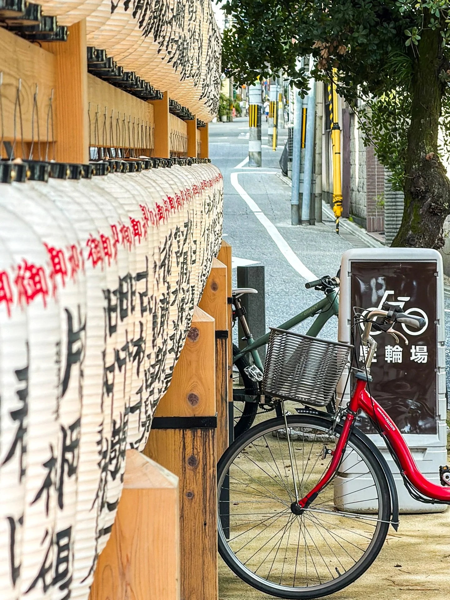 El arte de estar y observar.
Dejar que el silencio te enseñe,
y que la vida se revele en los detalles que casi nadie ve.
Solo la mirada presente, y la belleza que se esconde en lo cotidiano.
🇯🇵✨
#japón