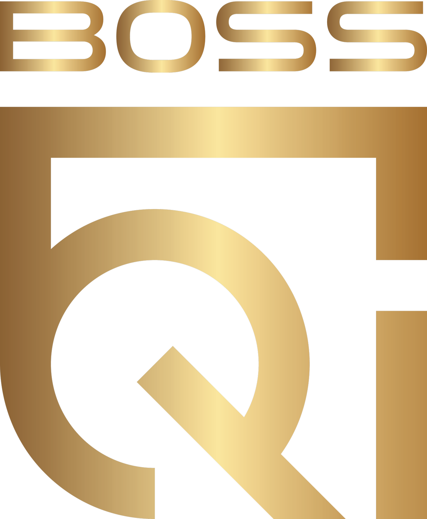 BOSS Qi Website
