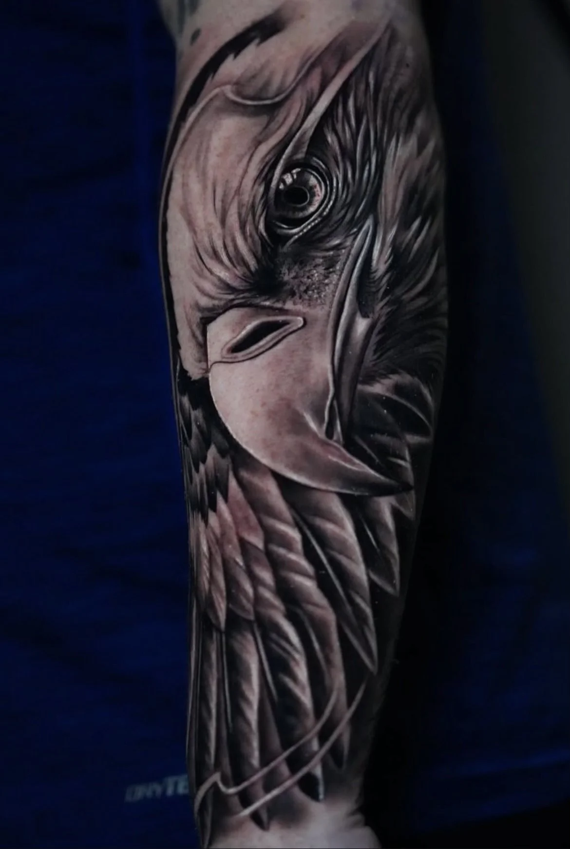Black and gray tattoo of an eagle's face on a person's arm, showcasing detailed feathers and intense eye expression.