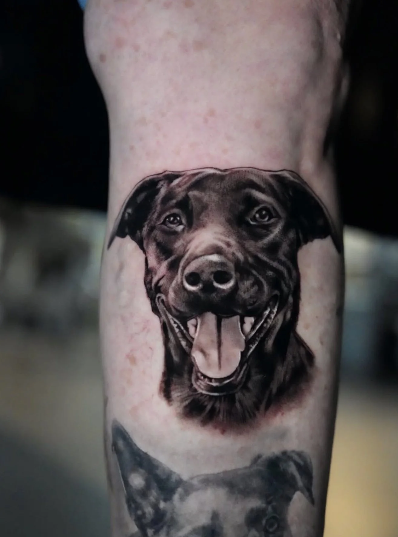 Black and gray tattoo of a happy, smiling dog with its tongue out on someone's arm.