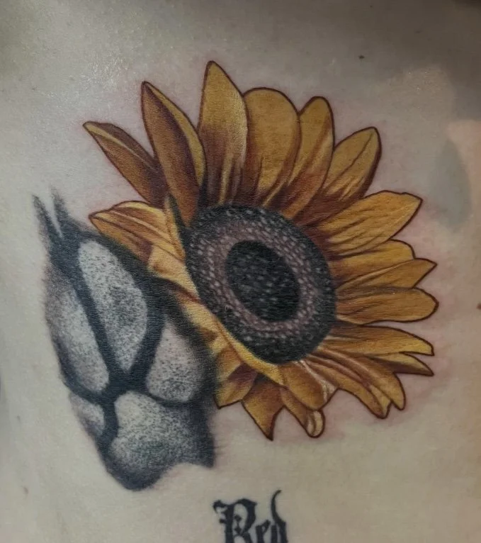 Image 2-11-26 at 2.54 PM (1).jpeg