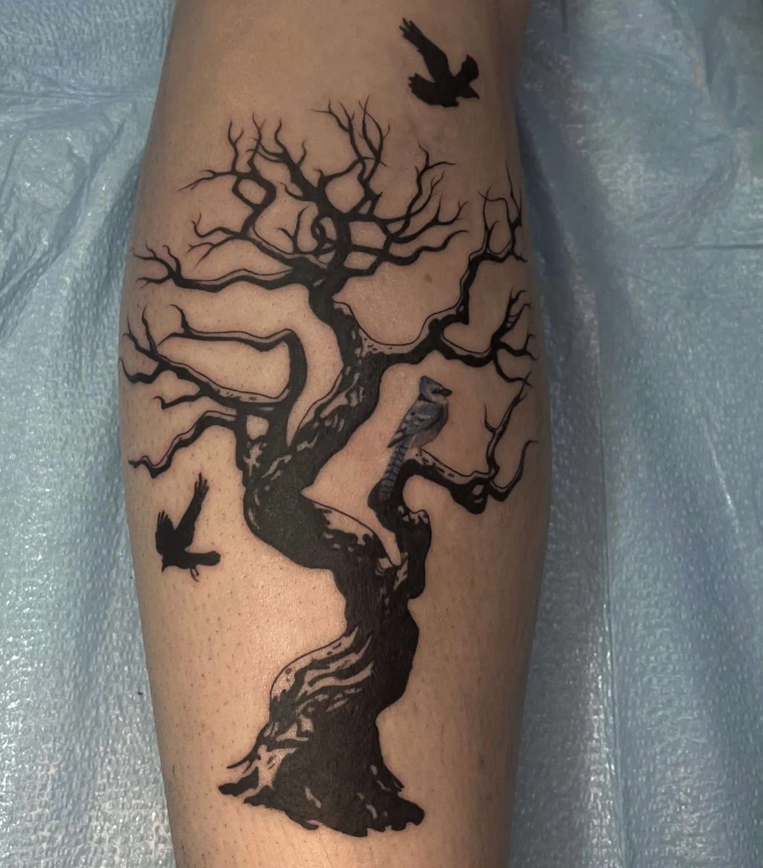 Tattoo of a leafless tree with a bird and two smaller birds flying nearby.