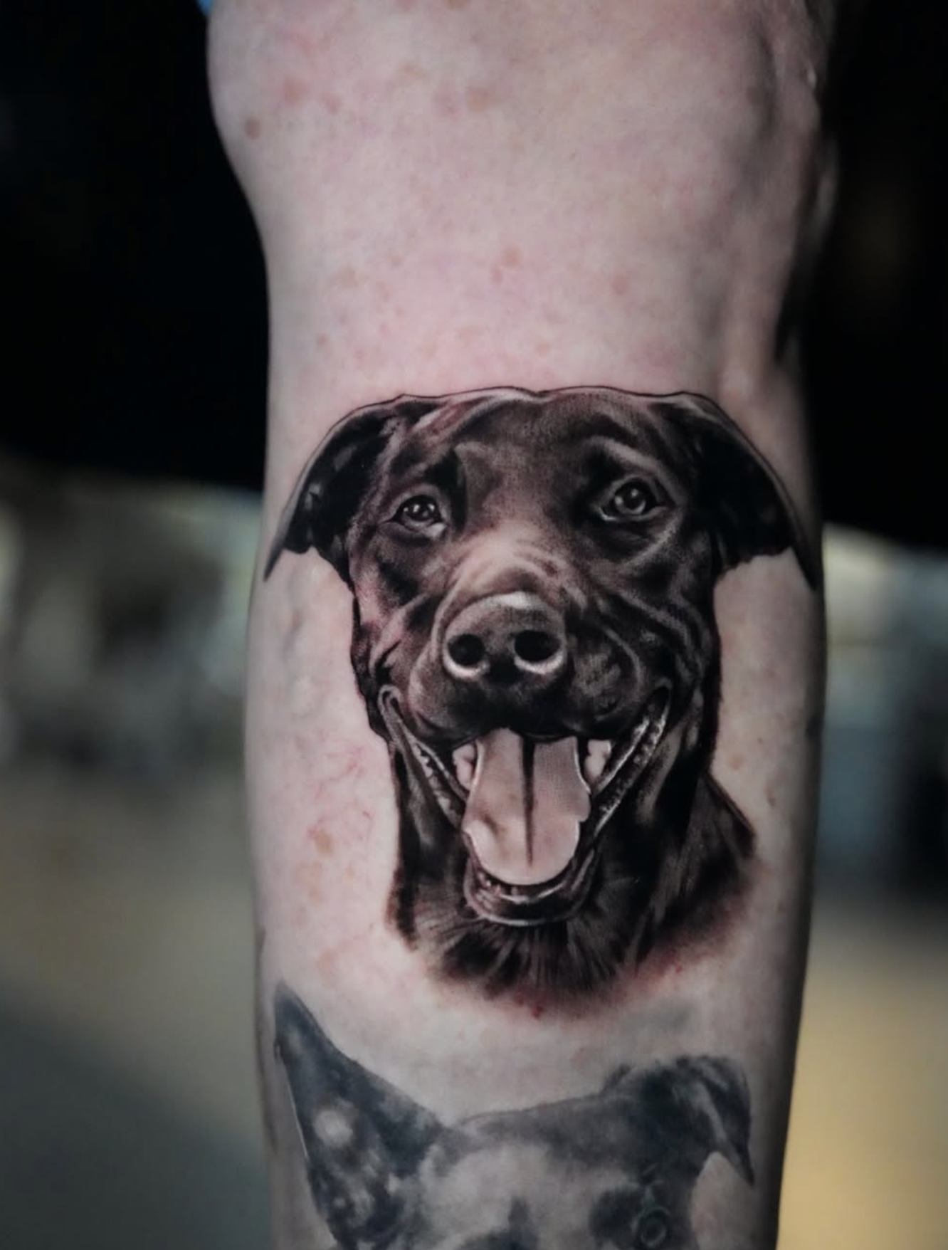 Close-up of a tattoo of a happy, realistic black Labrador retriever dog's face on a person's arm.