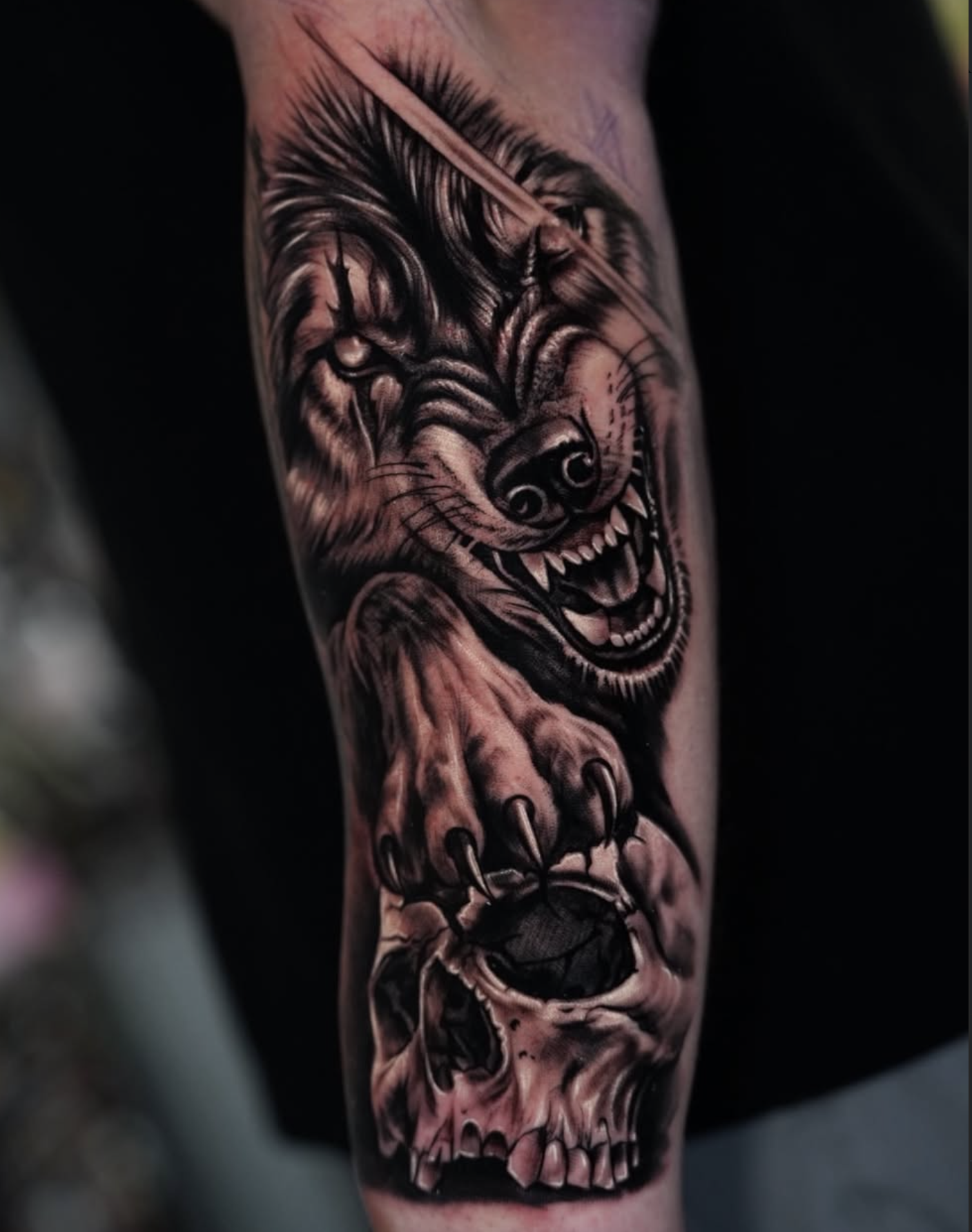 Black and gray tattoo of a snarling wolf with detailed fur, sharp teeth, and piercing eyes on a person's arm.
