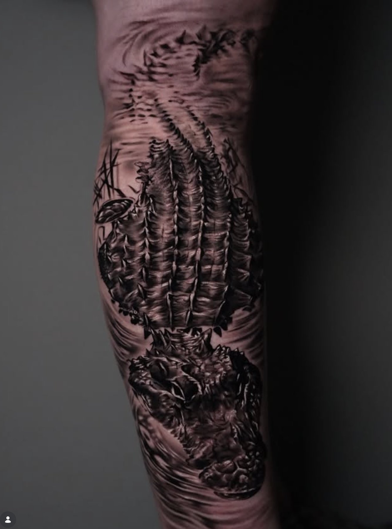 Black and gray tattoo of a dinosaur skeleton along a person's arm.